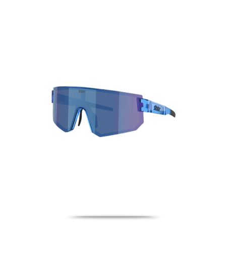 P005 Sunglasses