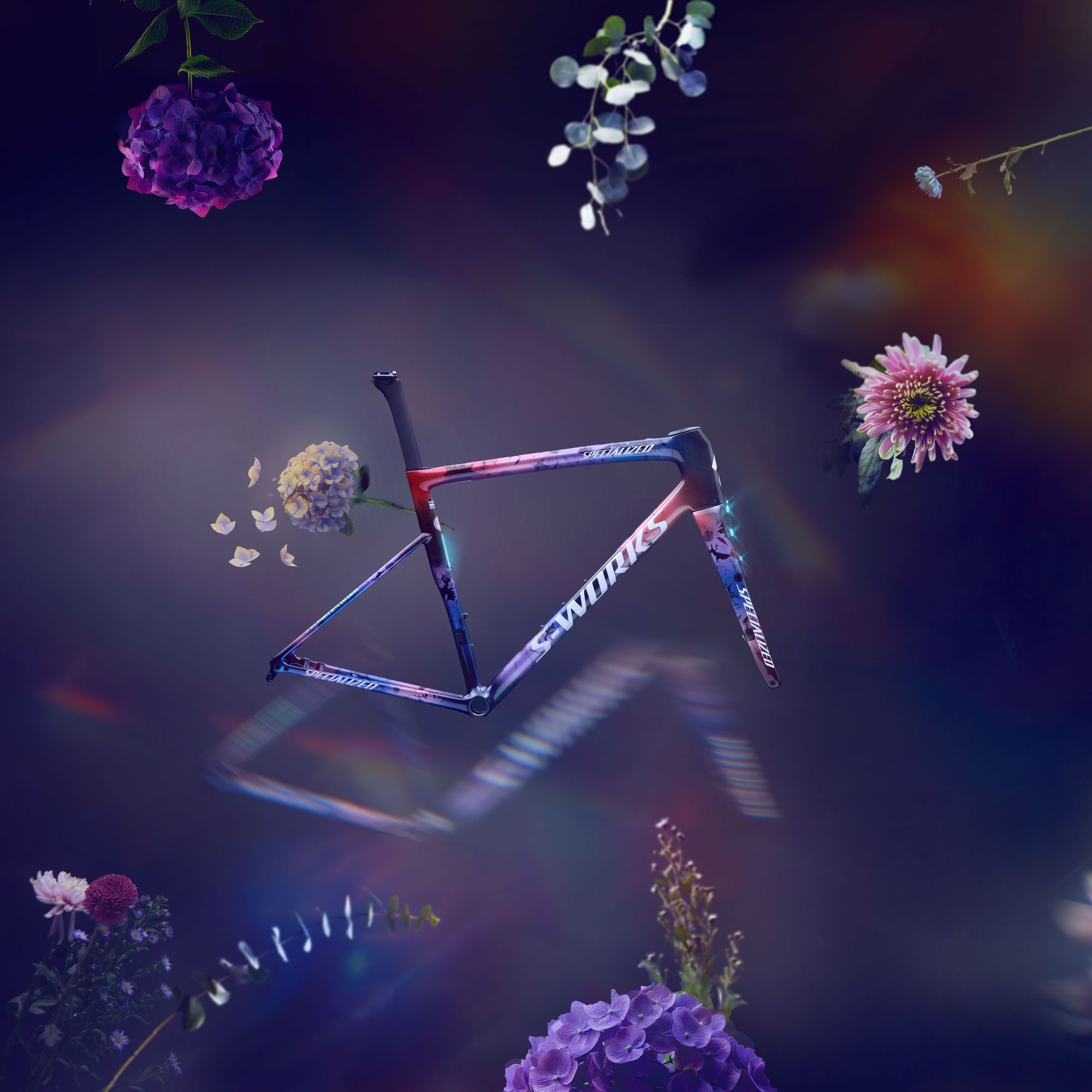 S-Works Tarmac SL8 Ltd Frameset- Demi Dreaming