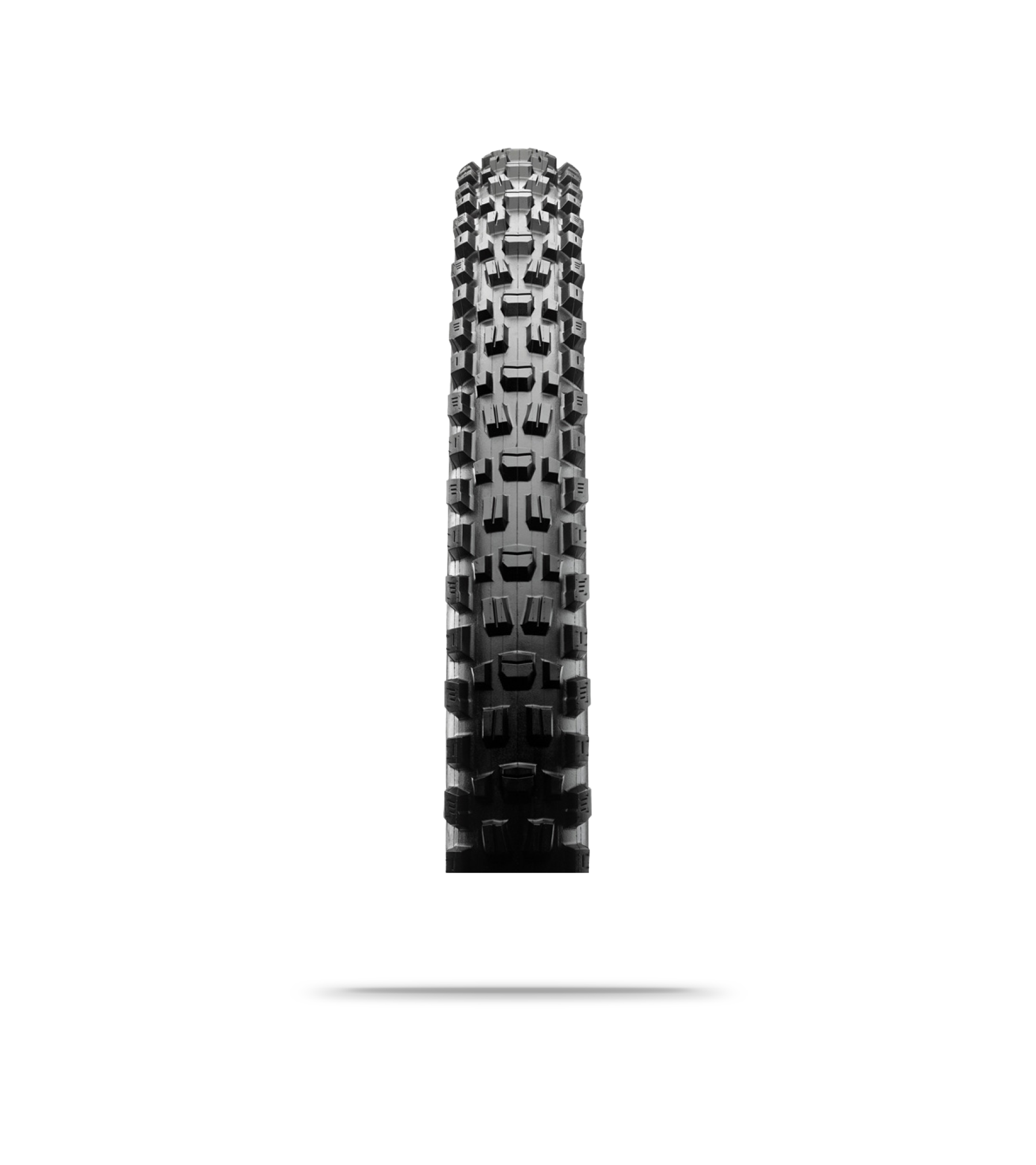 Assegai 120 TPI Foldable 3C MaxxTerra EXO/TR MTB Tyre