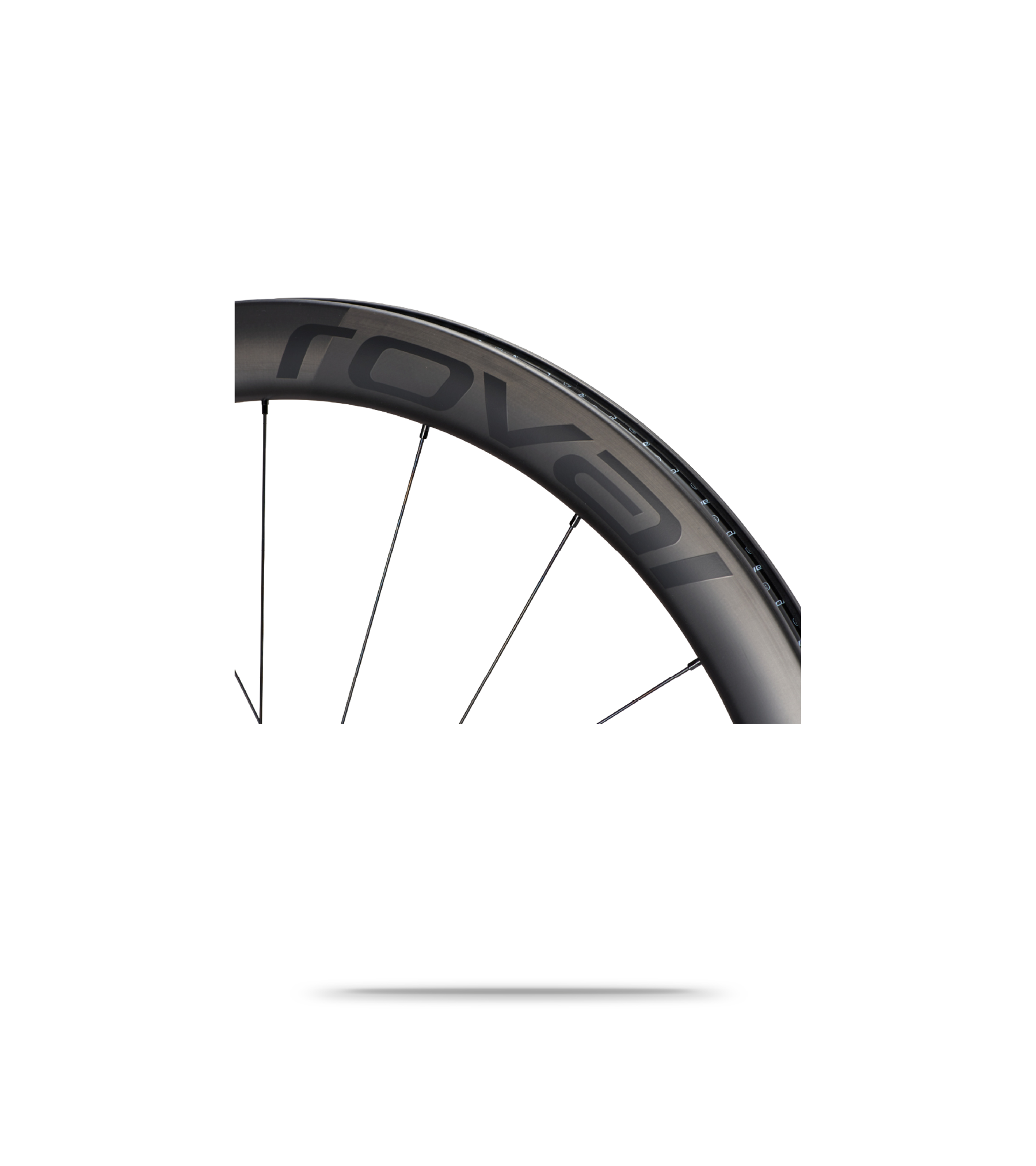 Rapide CL II Disc Brake Front Wheel