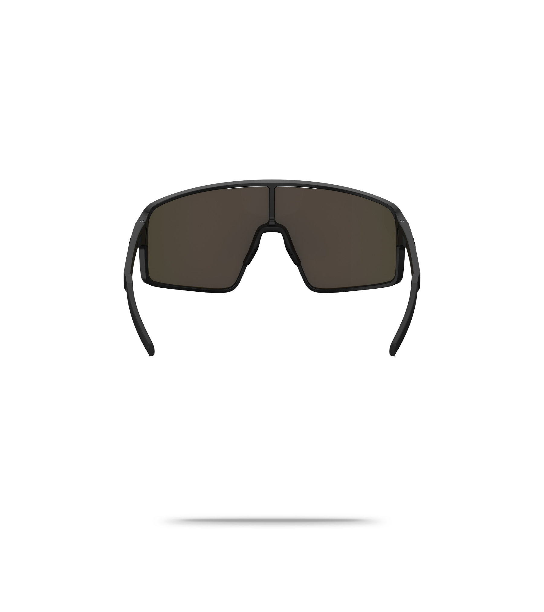 P001S Sunglasses
