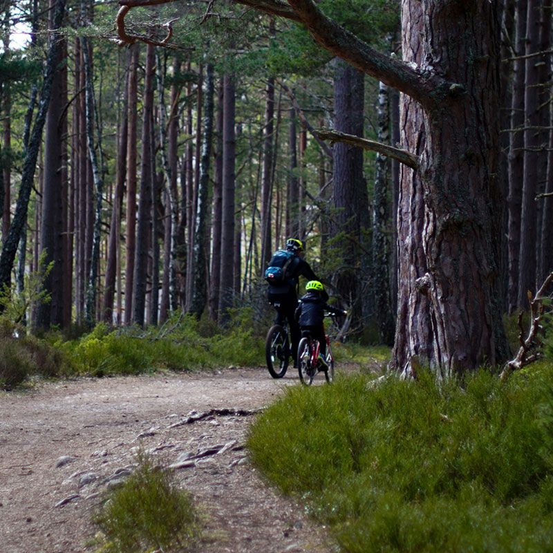 The UK’s Most Family-Friendly Cycle Routes