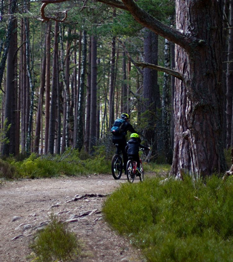 The UK’s Most Family-Friendly Cycle Routes