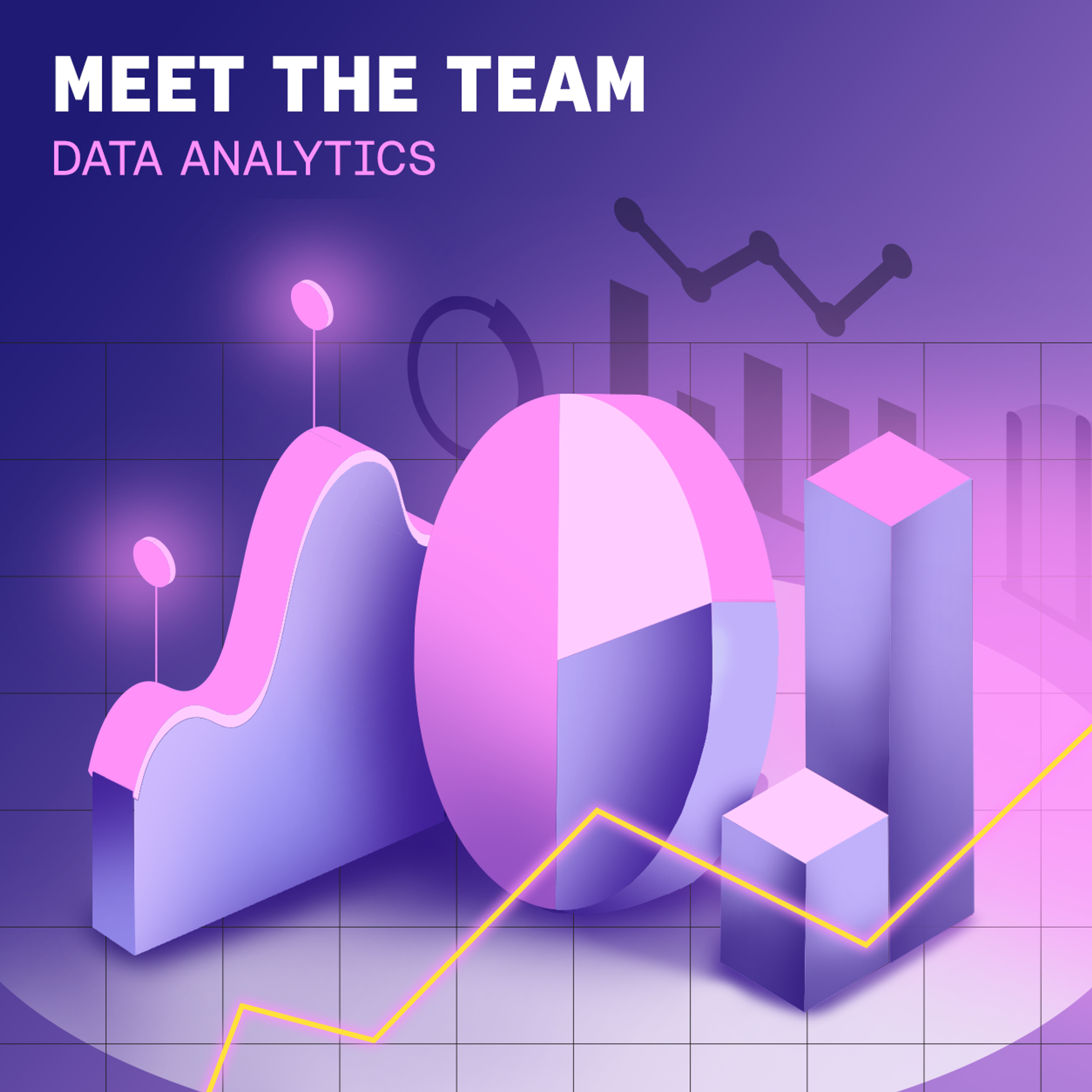 Meet the Data team at Homa