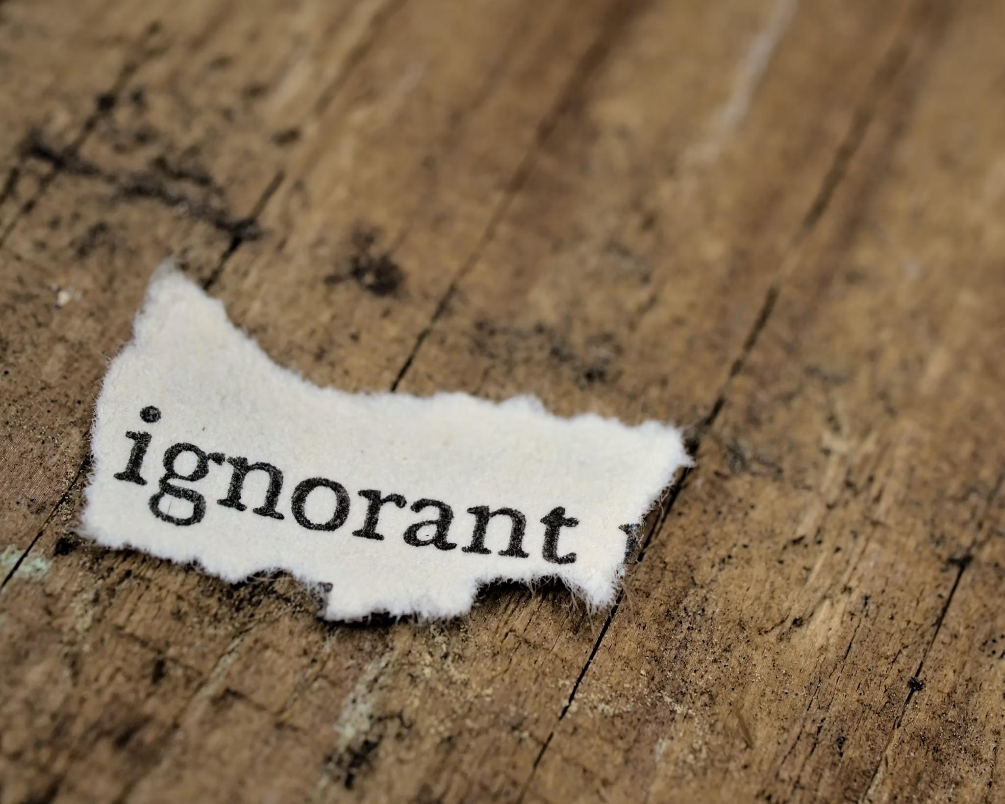 Économie : les conséquences de l’ignorance