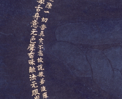 Grain of Rice detail 1