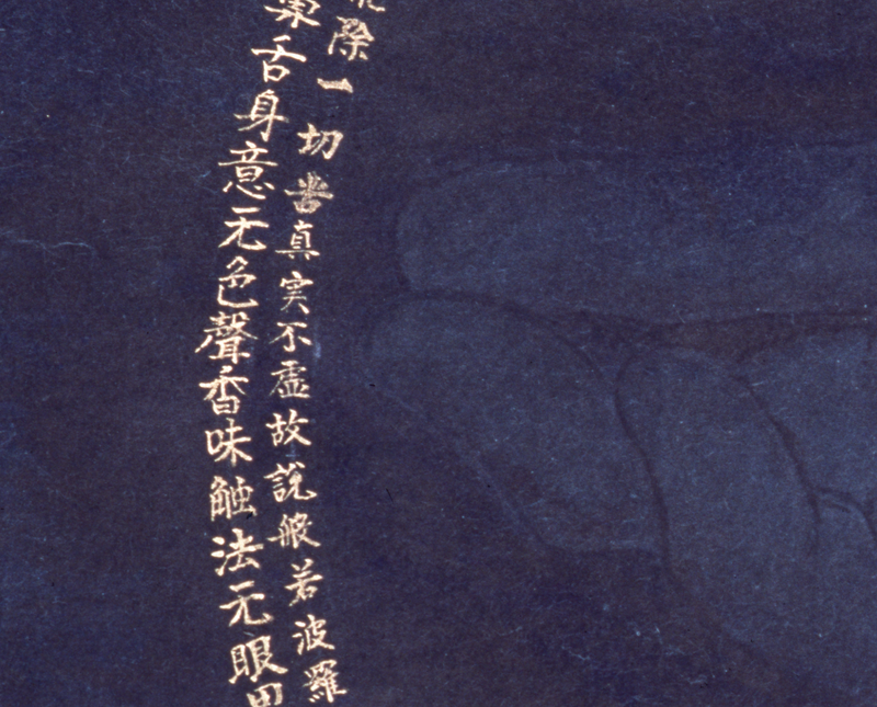 Grain of Rice detail 1