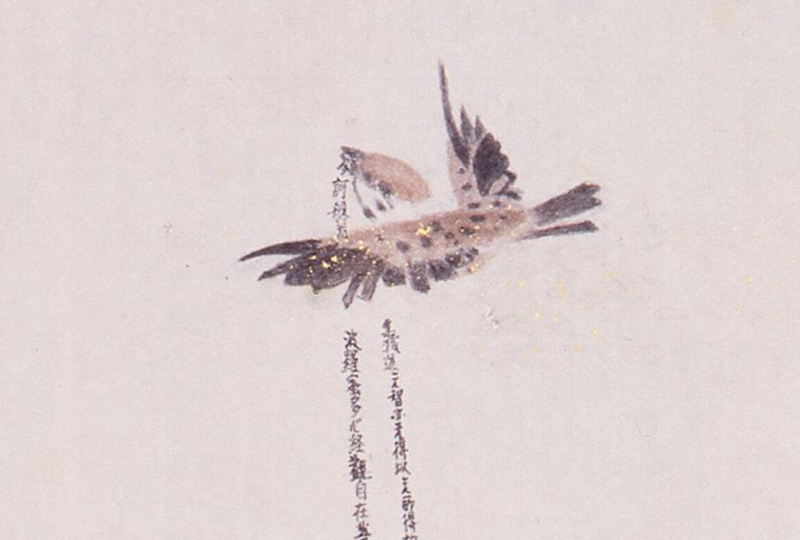 Buddha's Hair detail 1