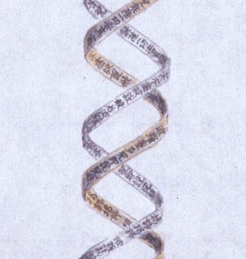 Elephant and DNA detail 2