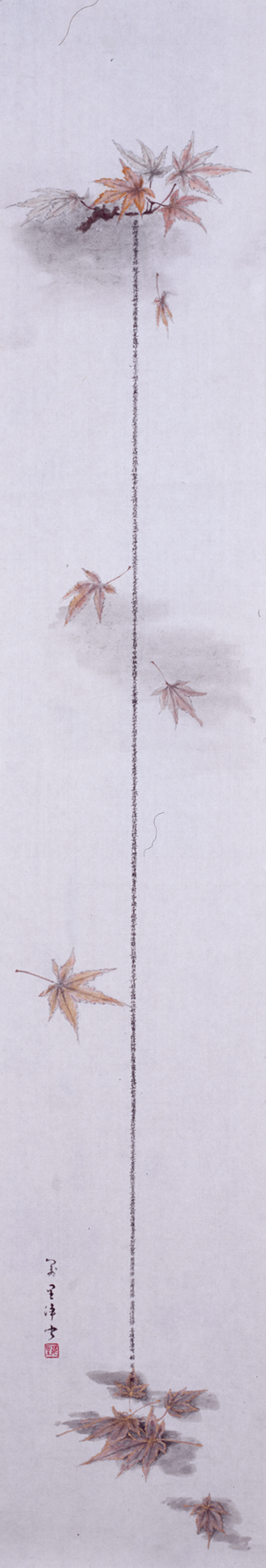 Falling Japanese Maple