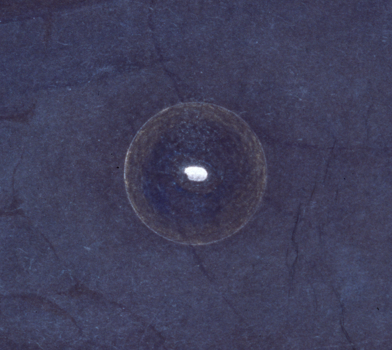 Grain of Rice detail 2