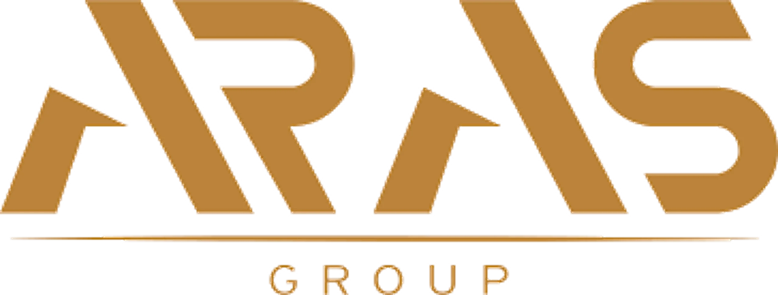 Aras Development Logo of the real estate developer "Aras Development"