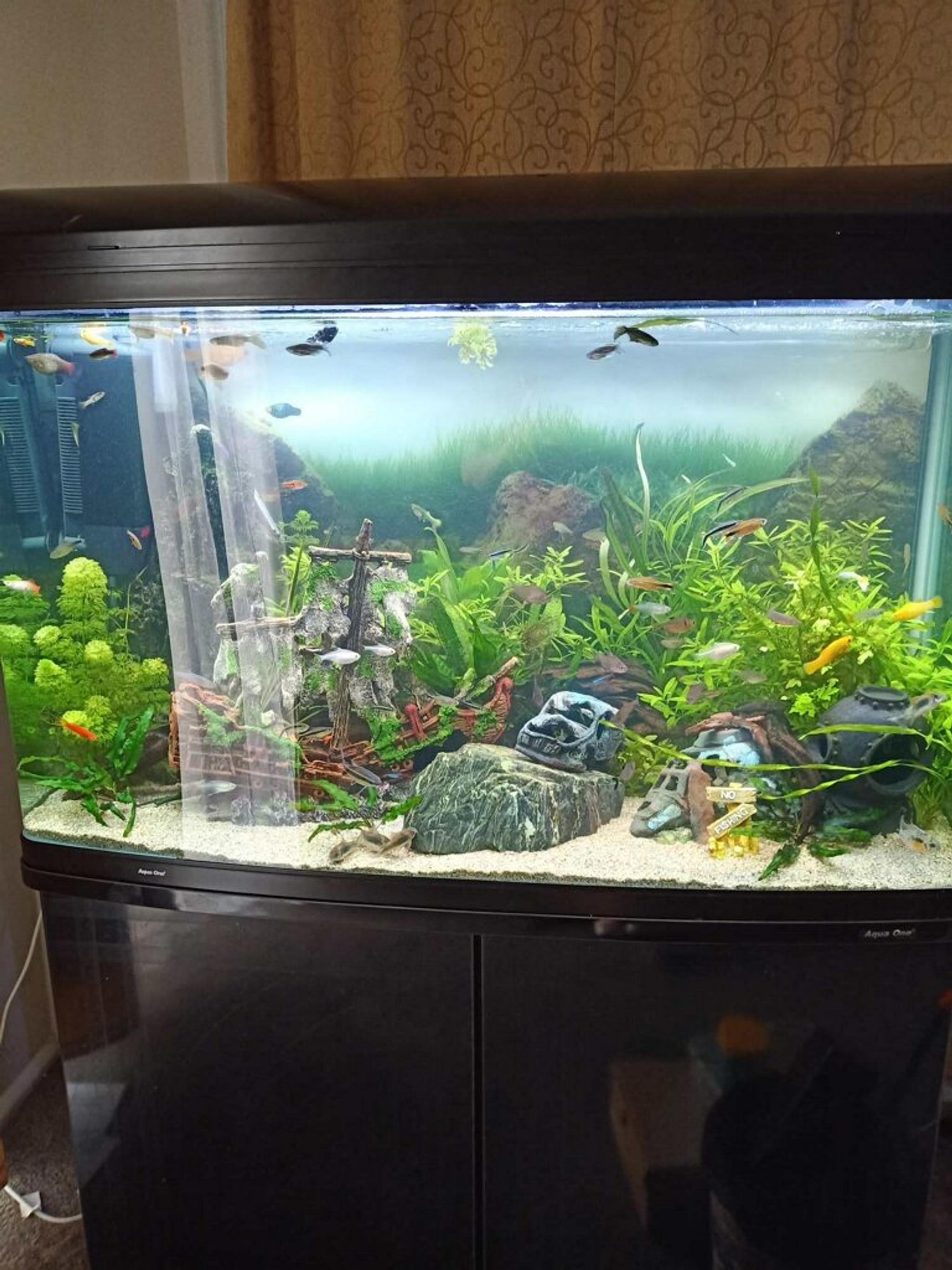 Simply Fish | Home