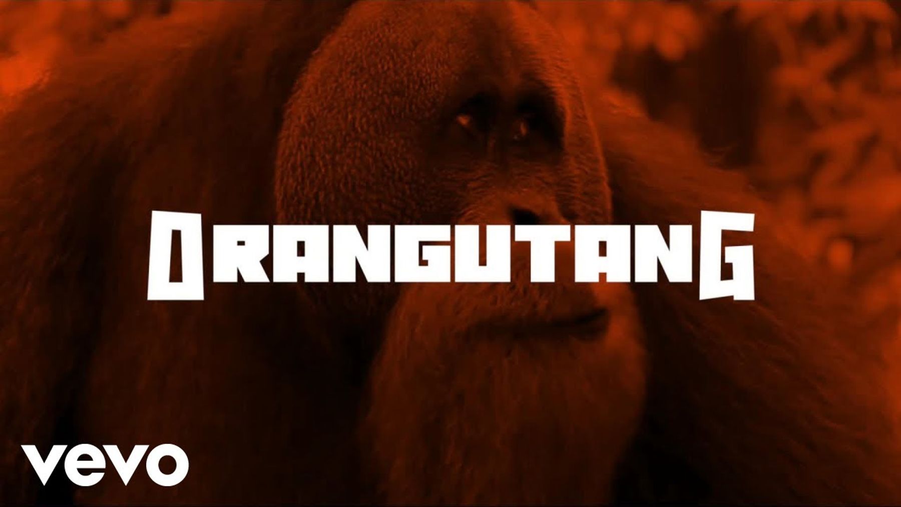 Orangutang, Again: The Less Glamorous Side of Putting Music Into the World