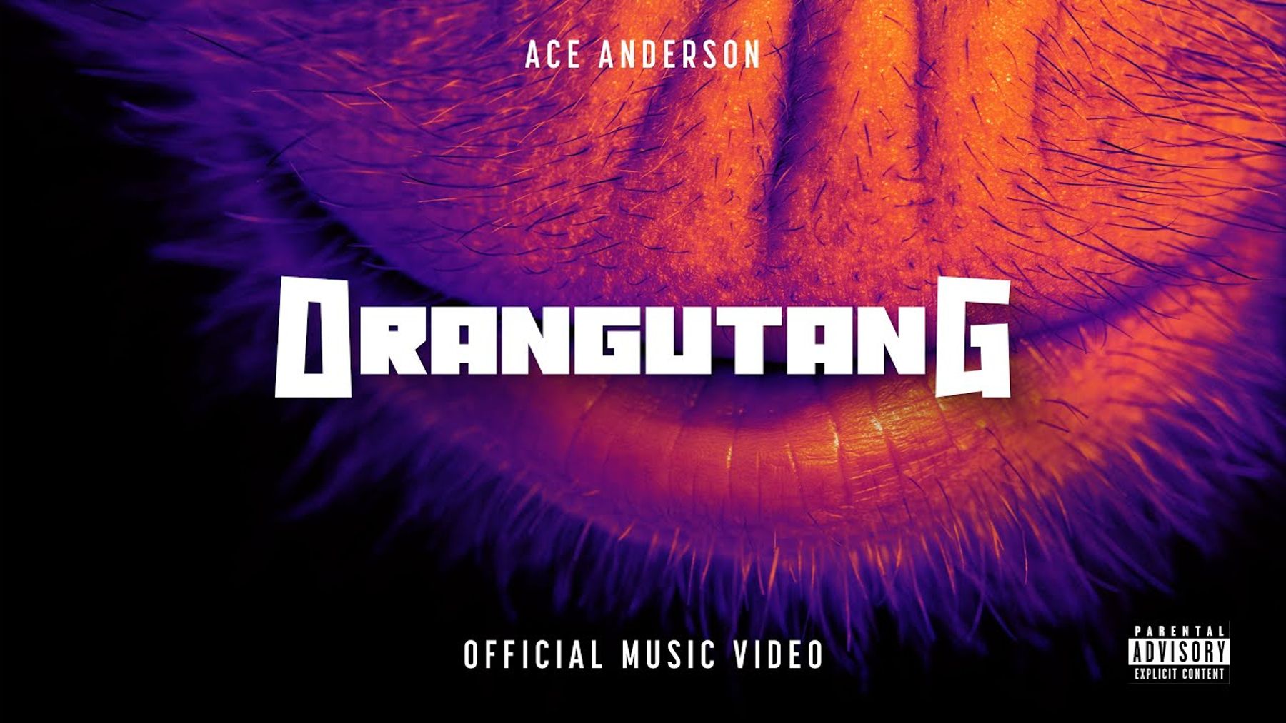 Orangutang: The Joy of Making Music That Doesn't Ask to Behave