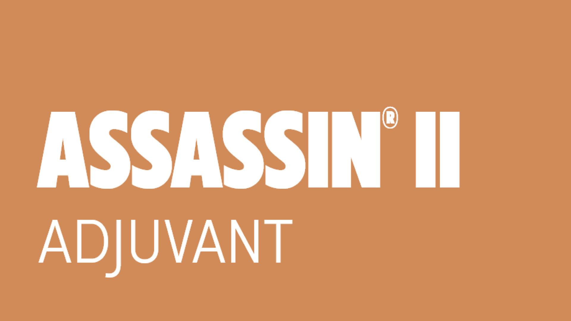 assassin II