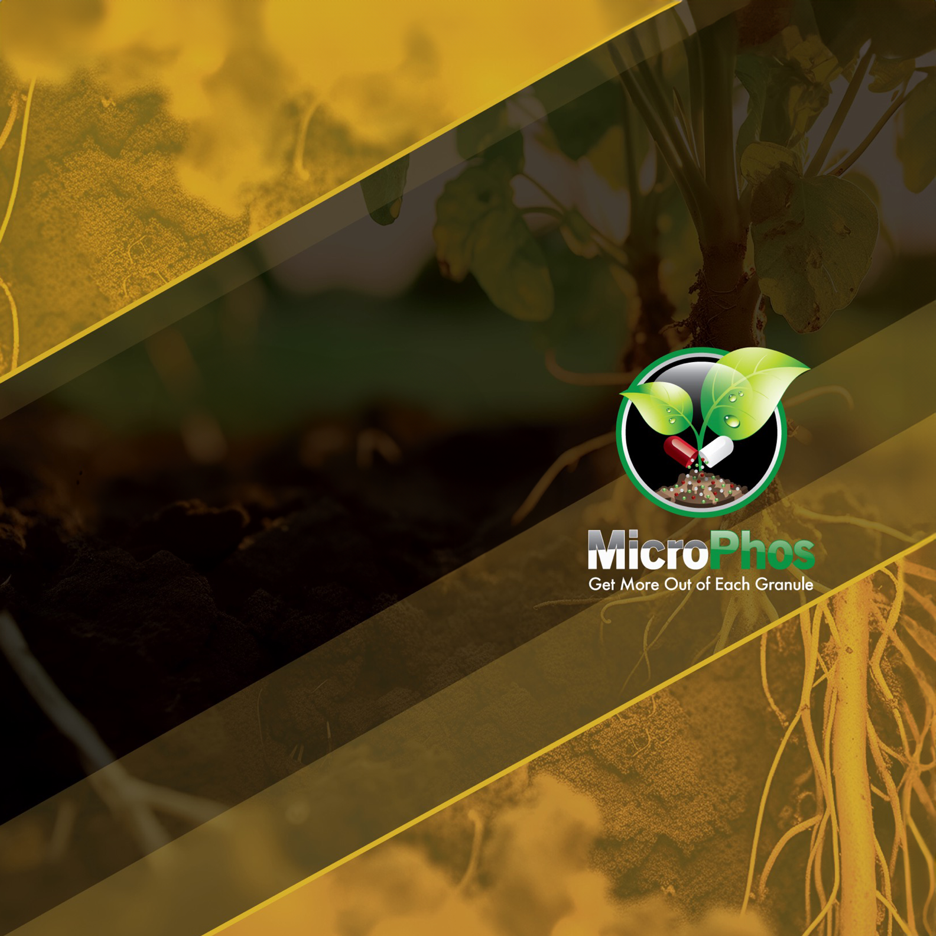 AgraCity Exclusive Micro Nutrient Fertilizers! MicroPhos Canola, MicroPhos S, MicroPhos MicroPak. 