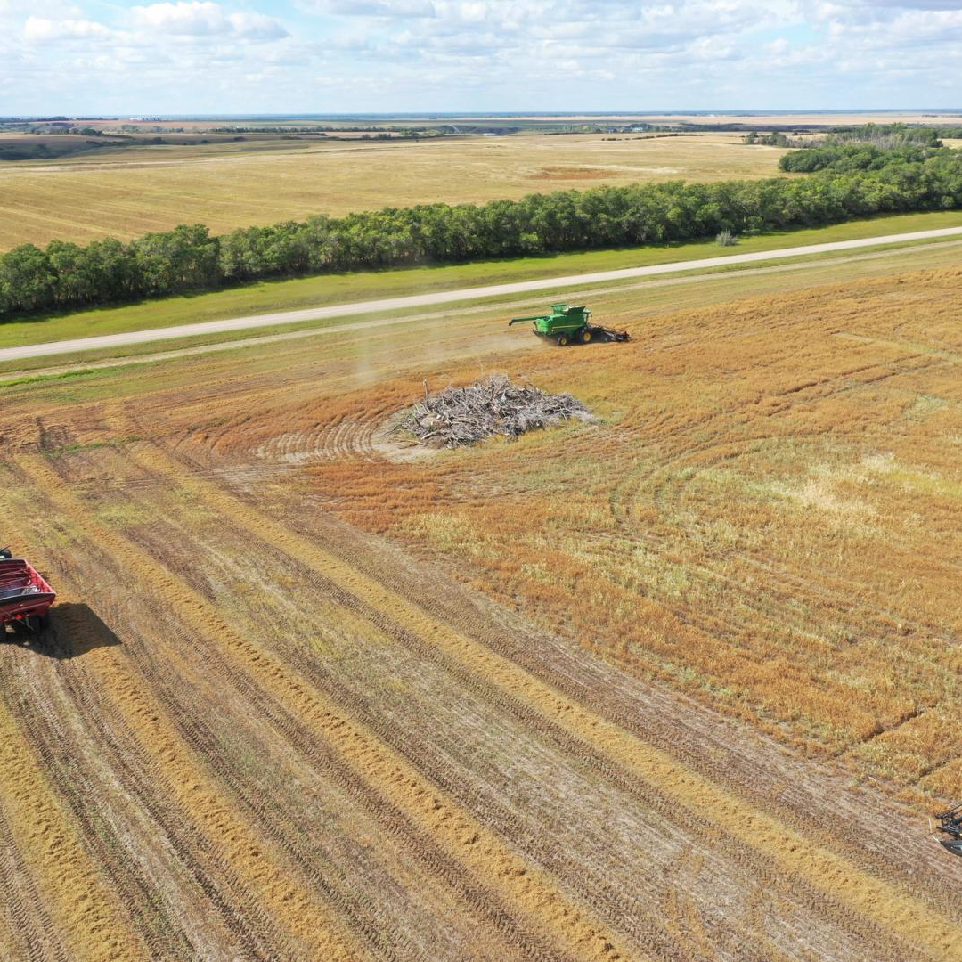 How Can You Maximize the Performance of Your Post-Harvest Herbicide This Year?