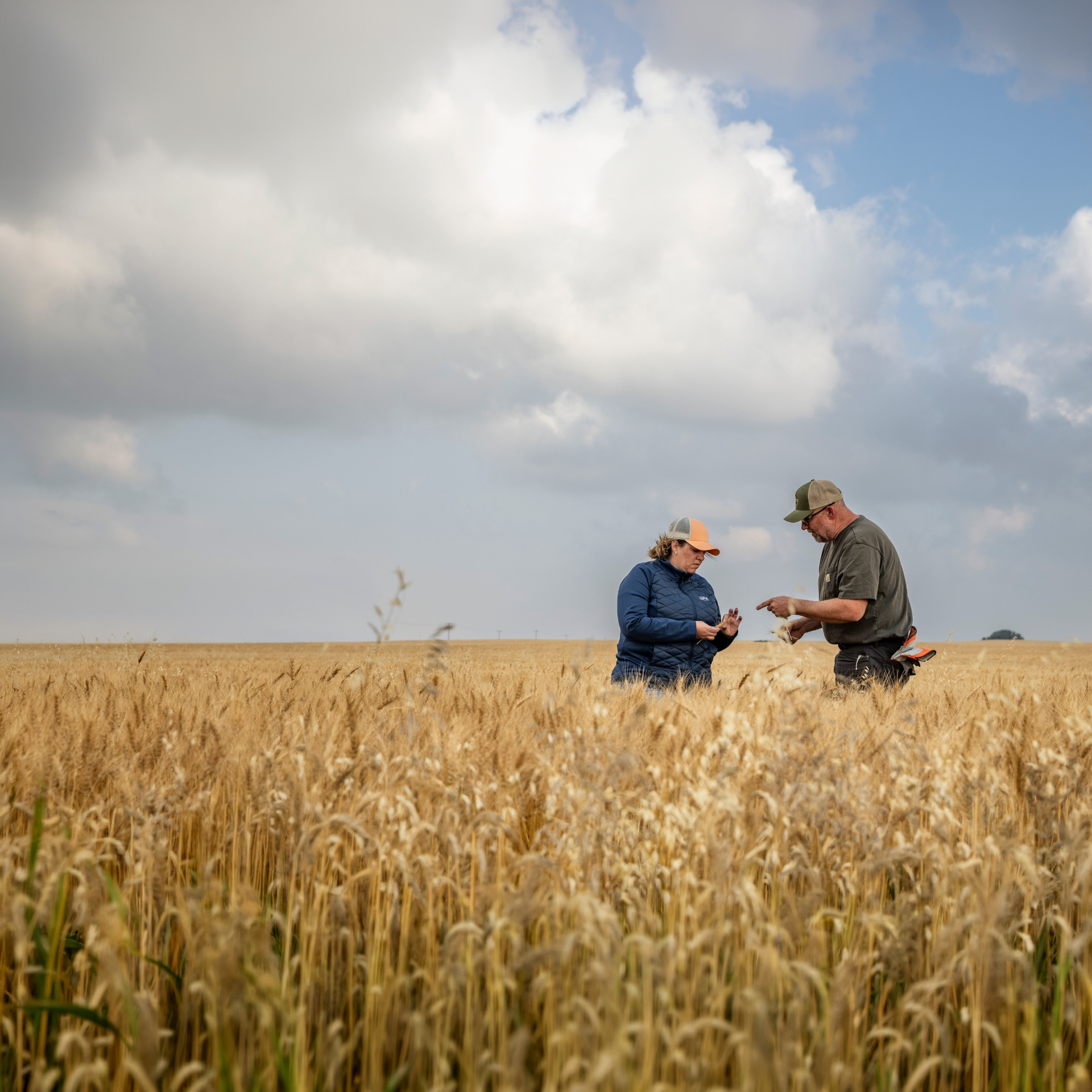 UFA & AgraCity