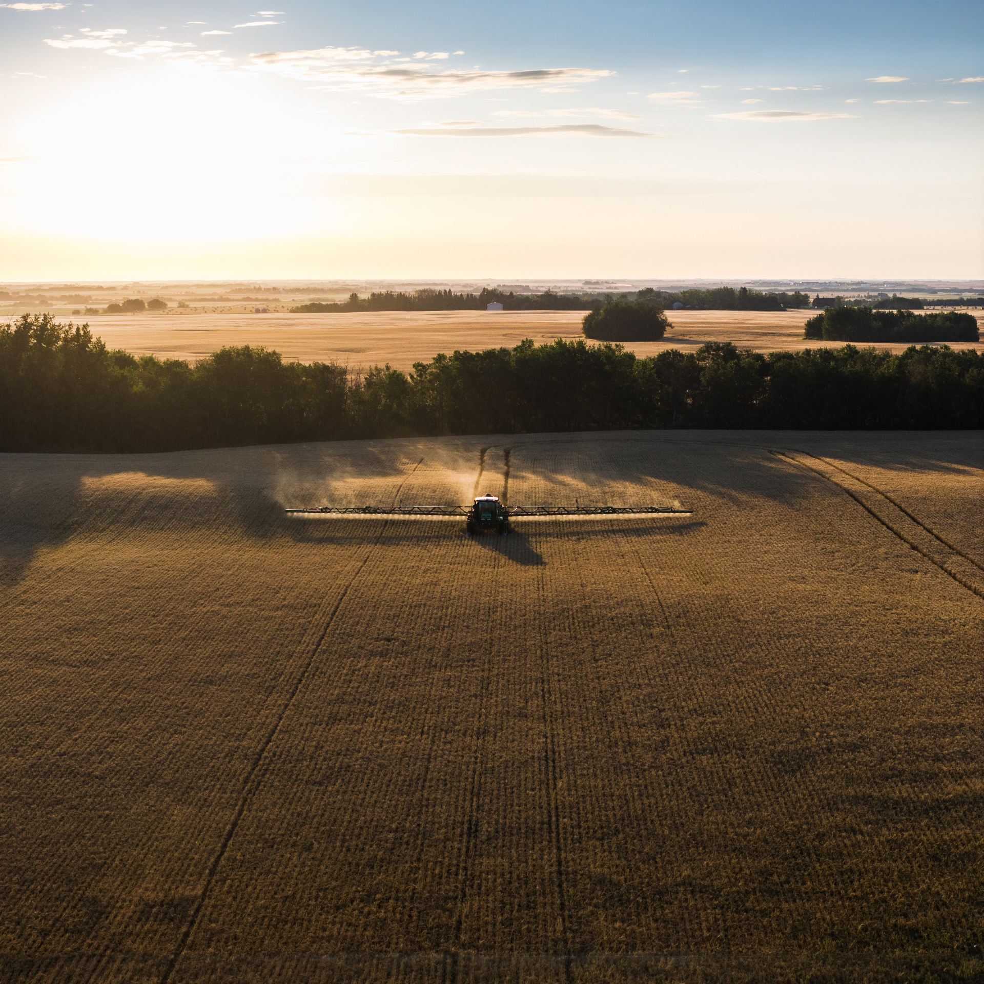 How to Maximize the Performance of Your Post-Harvest Herbicide