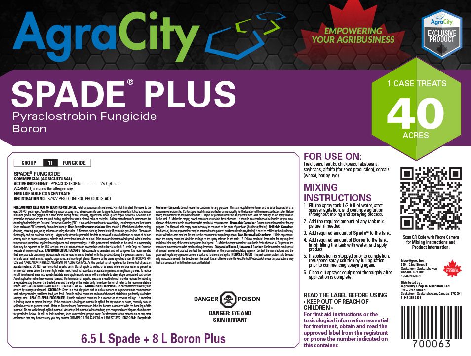 SPADE® PLUS FUNGICIDE