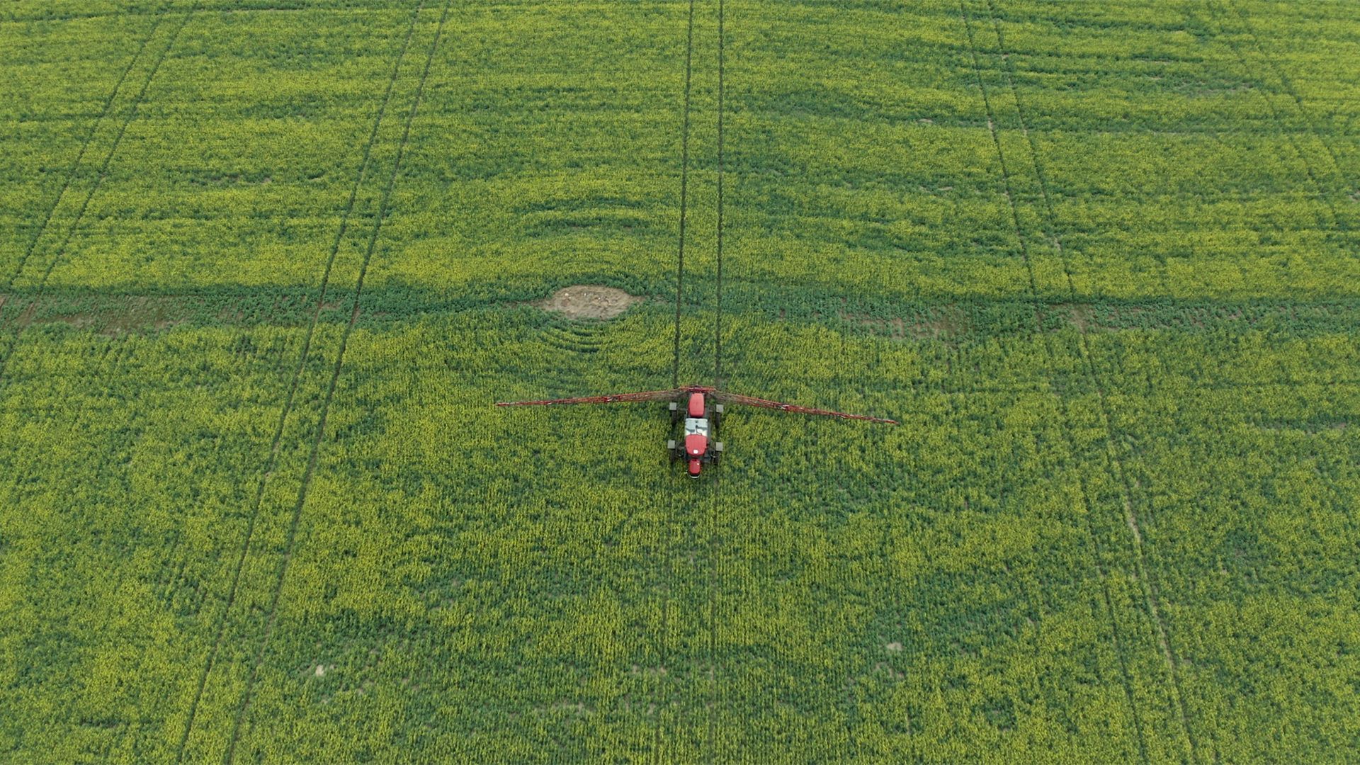 Getting The Most Out Of Your In-Crop Herbicide Application This Year