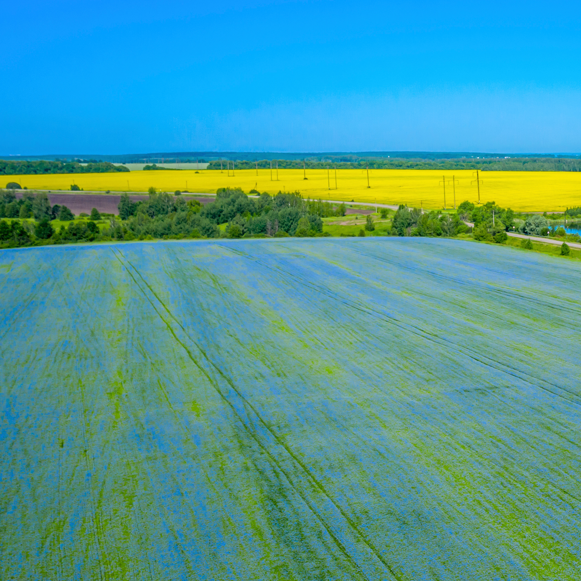 Canada's Largest Selection of High Performance Crop Inputs