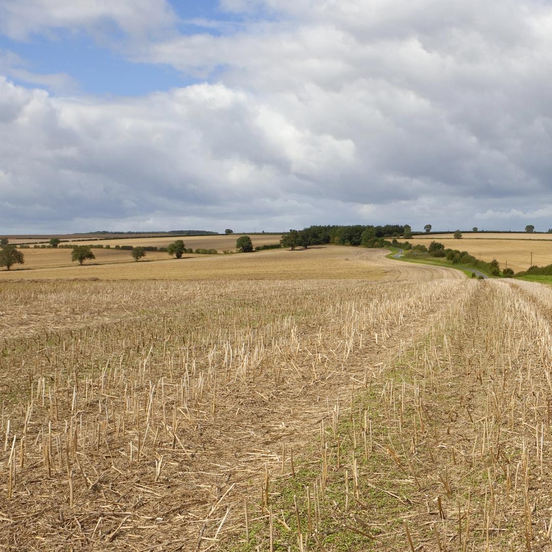 The Most Common Questions on Pre-seed Herbicide Application