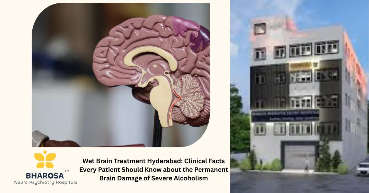 Wet Brain Treatment Hyderabad: Clinical Facts Every Patient Should Know about the Permanent Brain Damage of Severe Alcoholism | Bharosa Hospitals