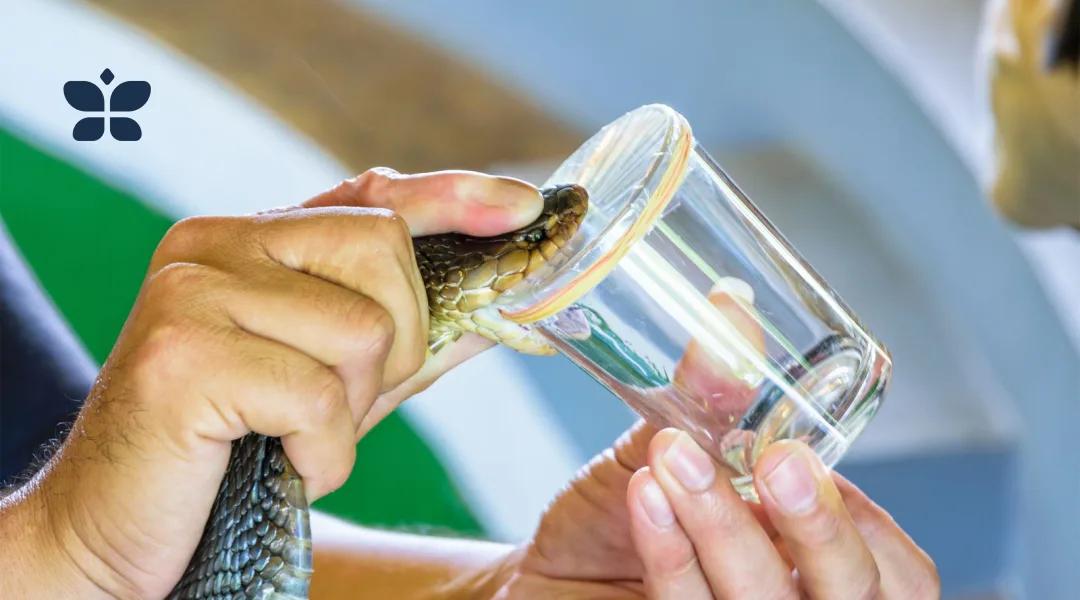 Snake Venom De-Addiction in Hyderabad