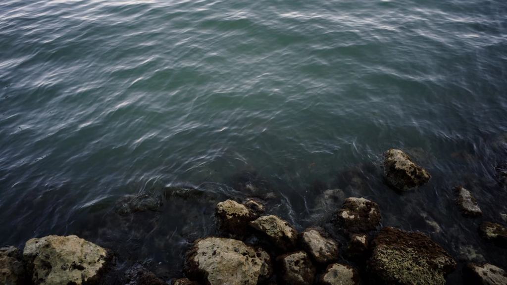 Rocks at the edge of dark, rippling bay water.