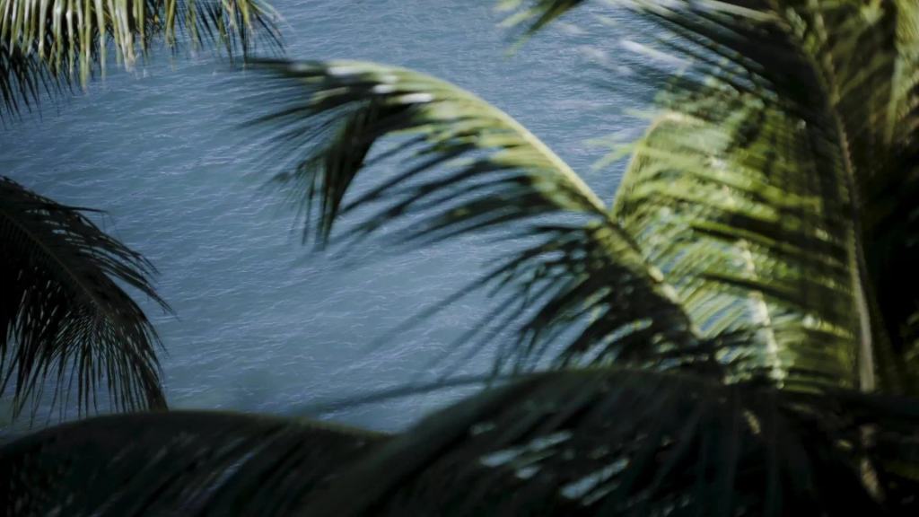 Palm fronds framing turquoise water on a sunny day.