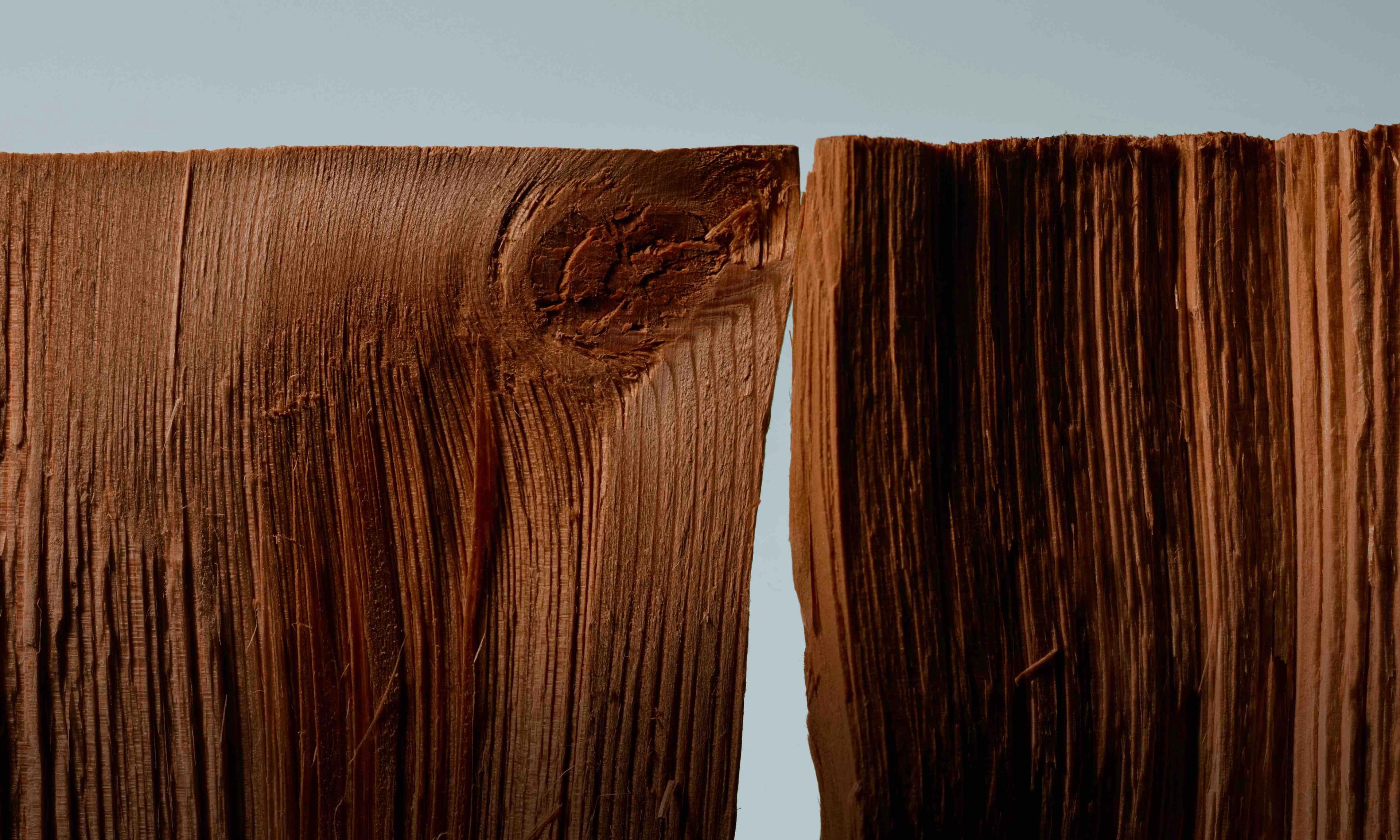 Image 4 of 4 from Anders Kylberg