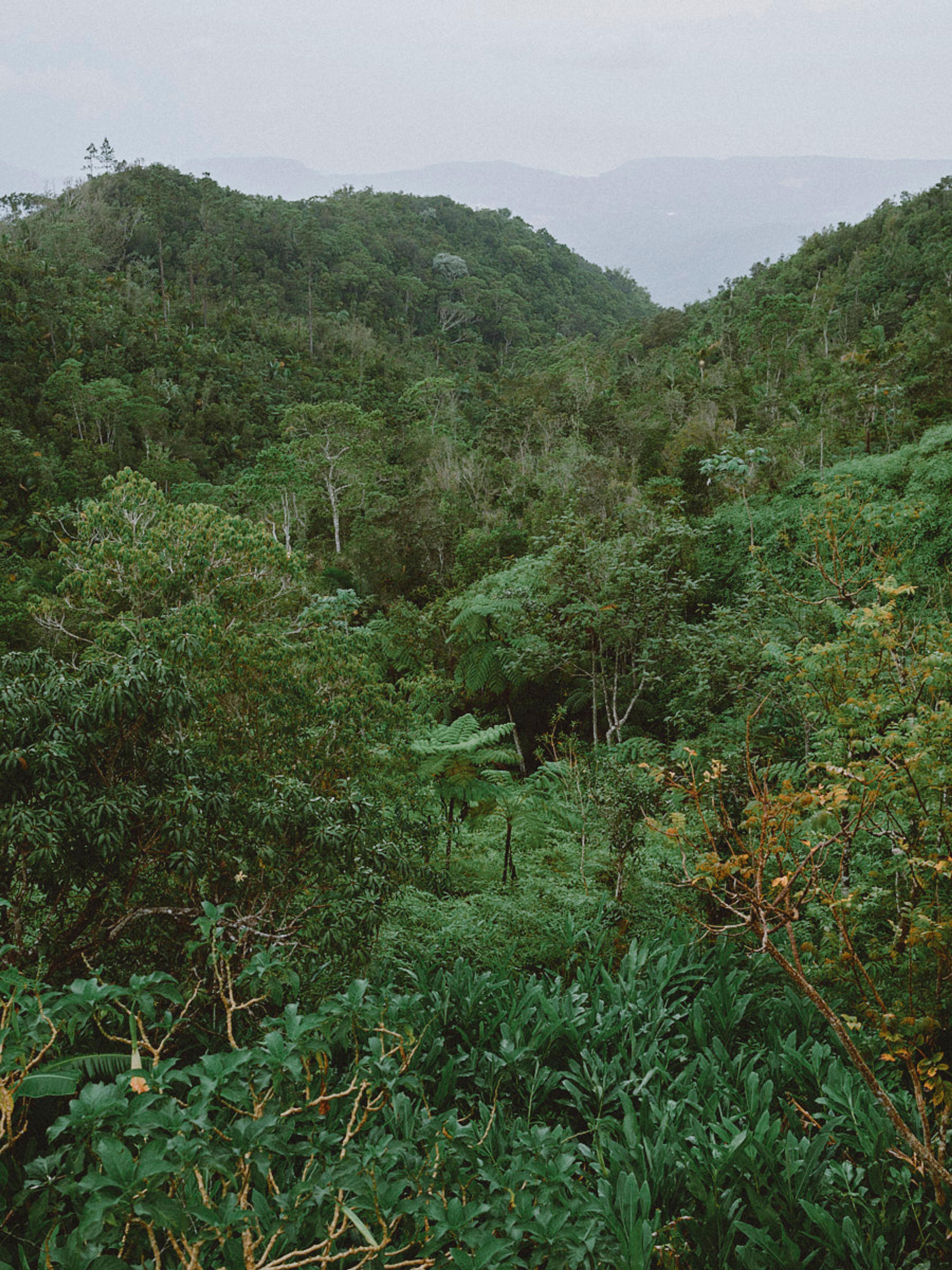 Image from Anoush Abrar