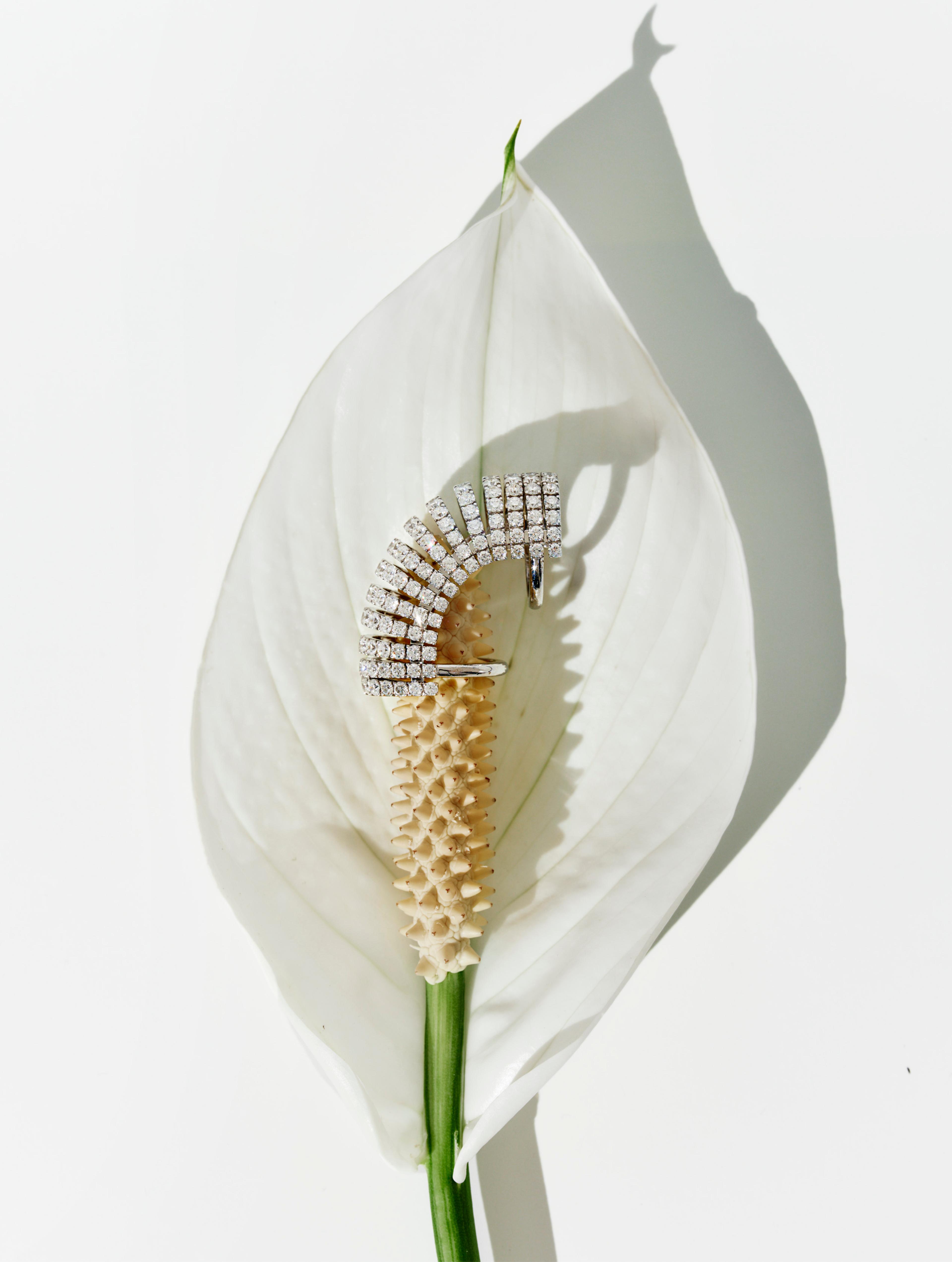 Image 3 of 3 from Jasmina Martiradonna