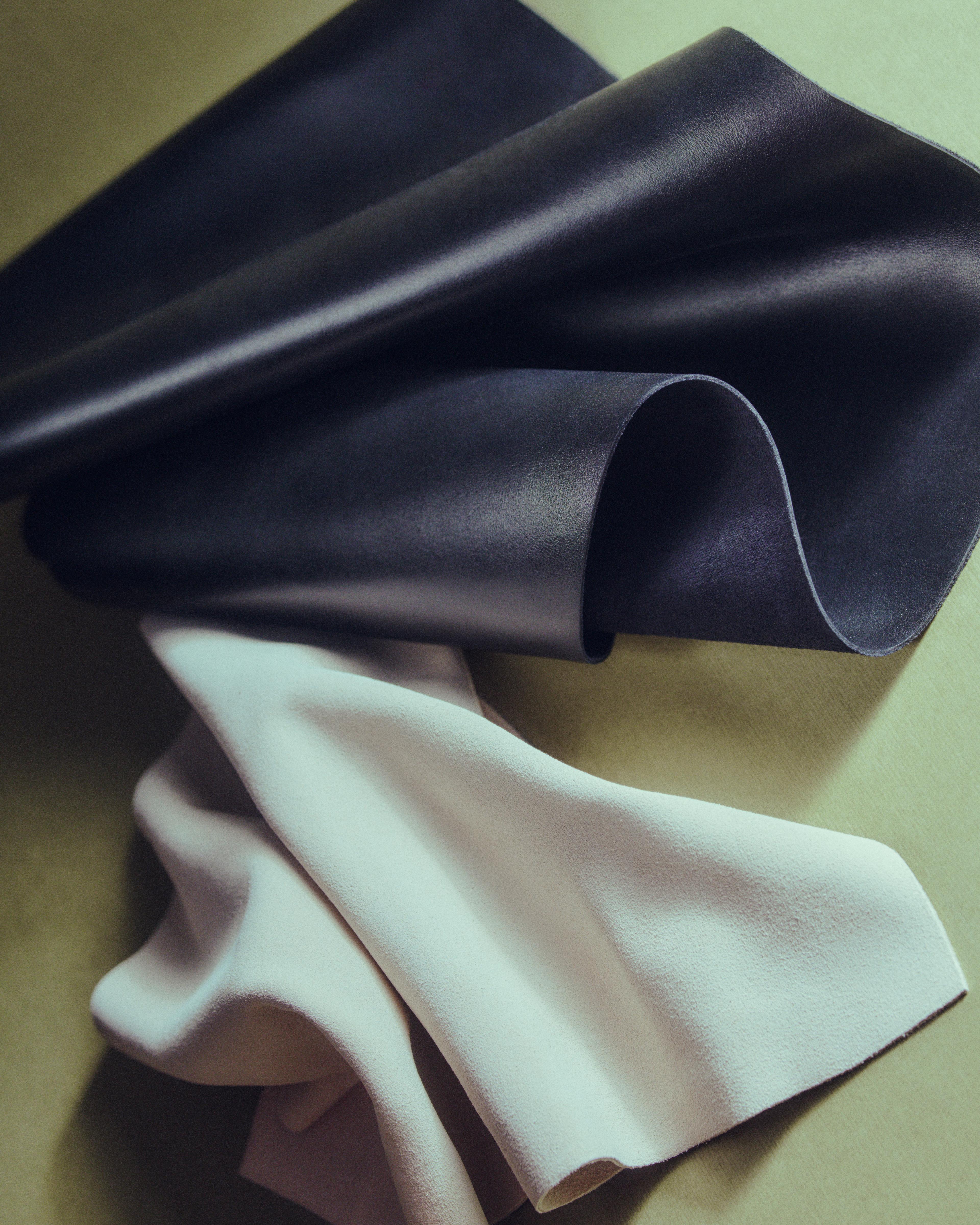 Image from Mattia Parodi