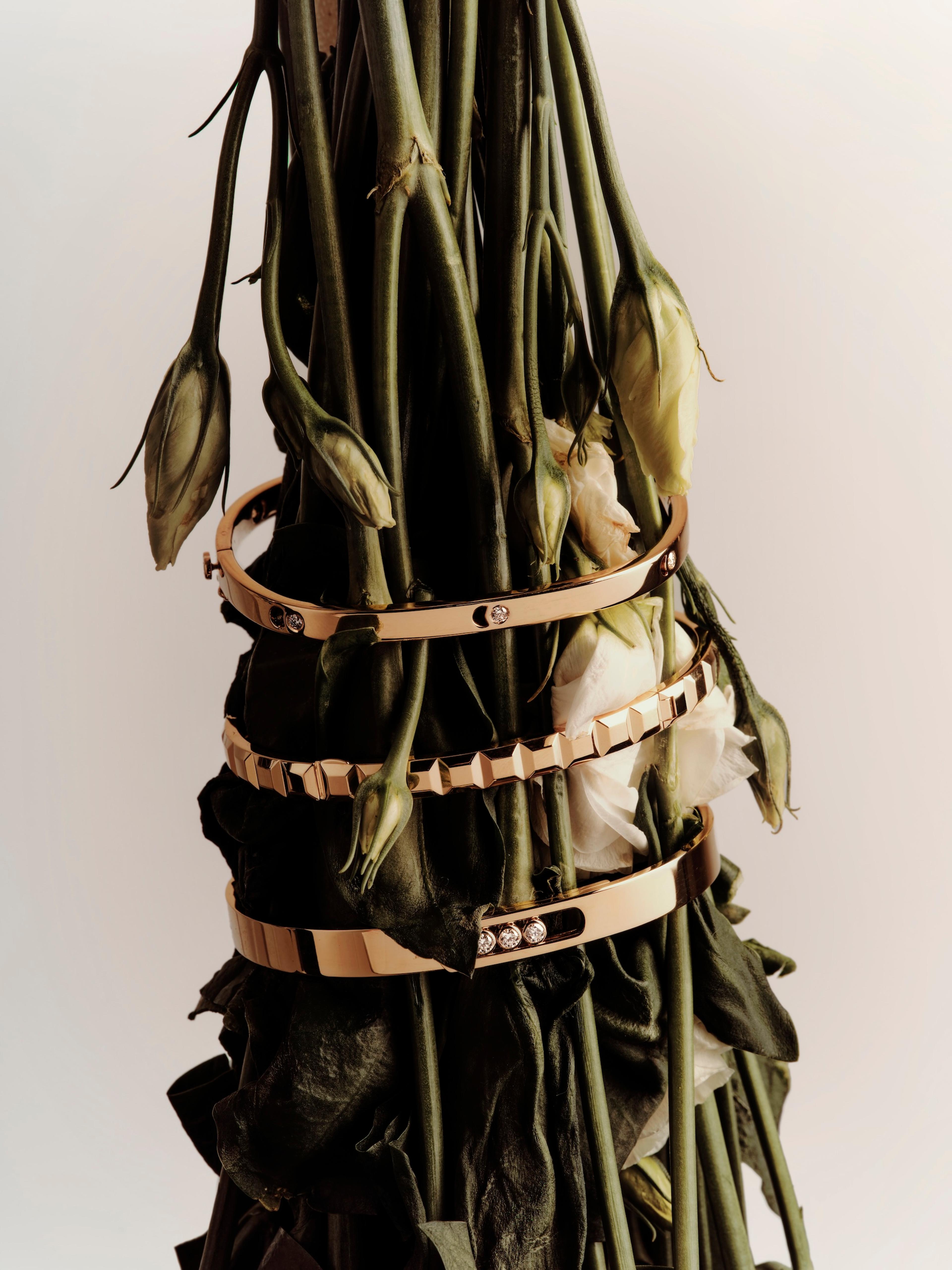 Image from Benjamin Vigliotta