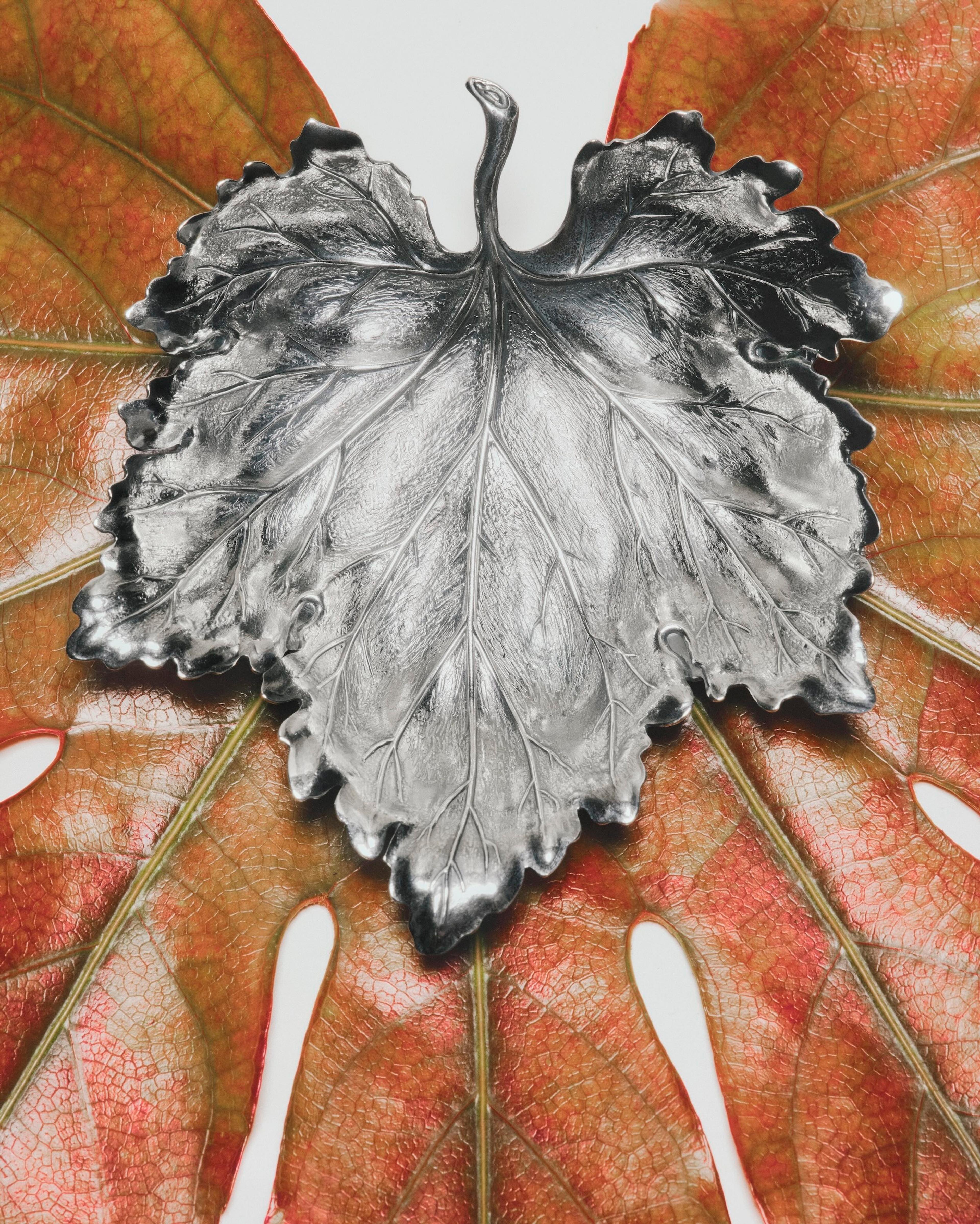 Image 2 of 3 from Jasmina Martiradonna