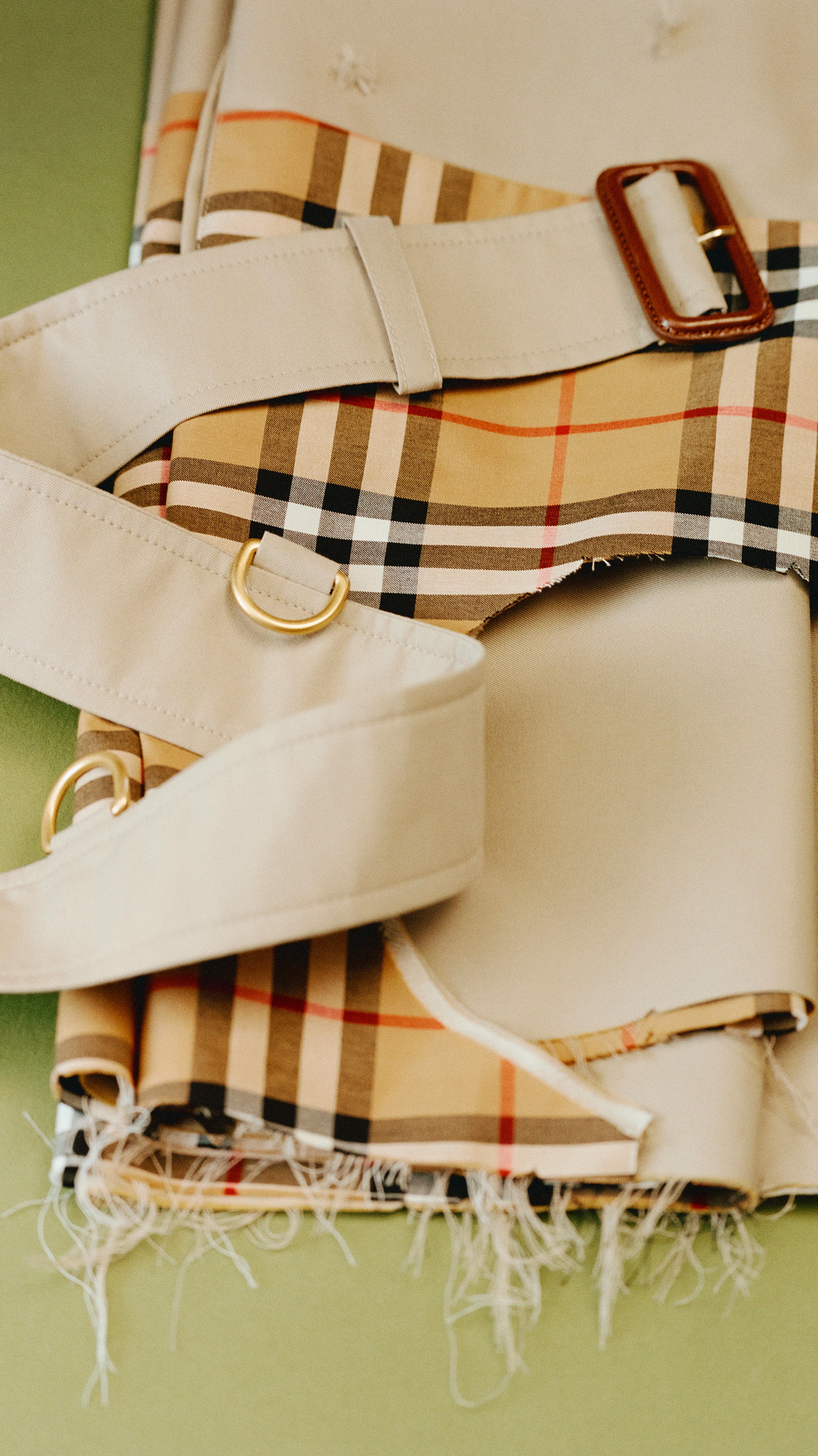 Image from Mattia Parodi