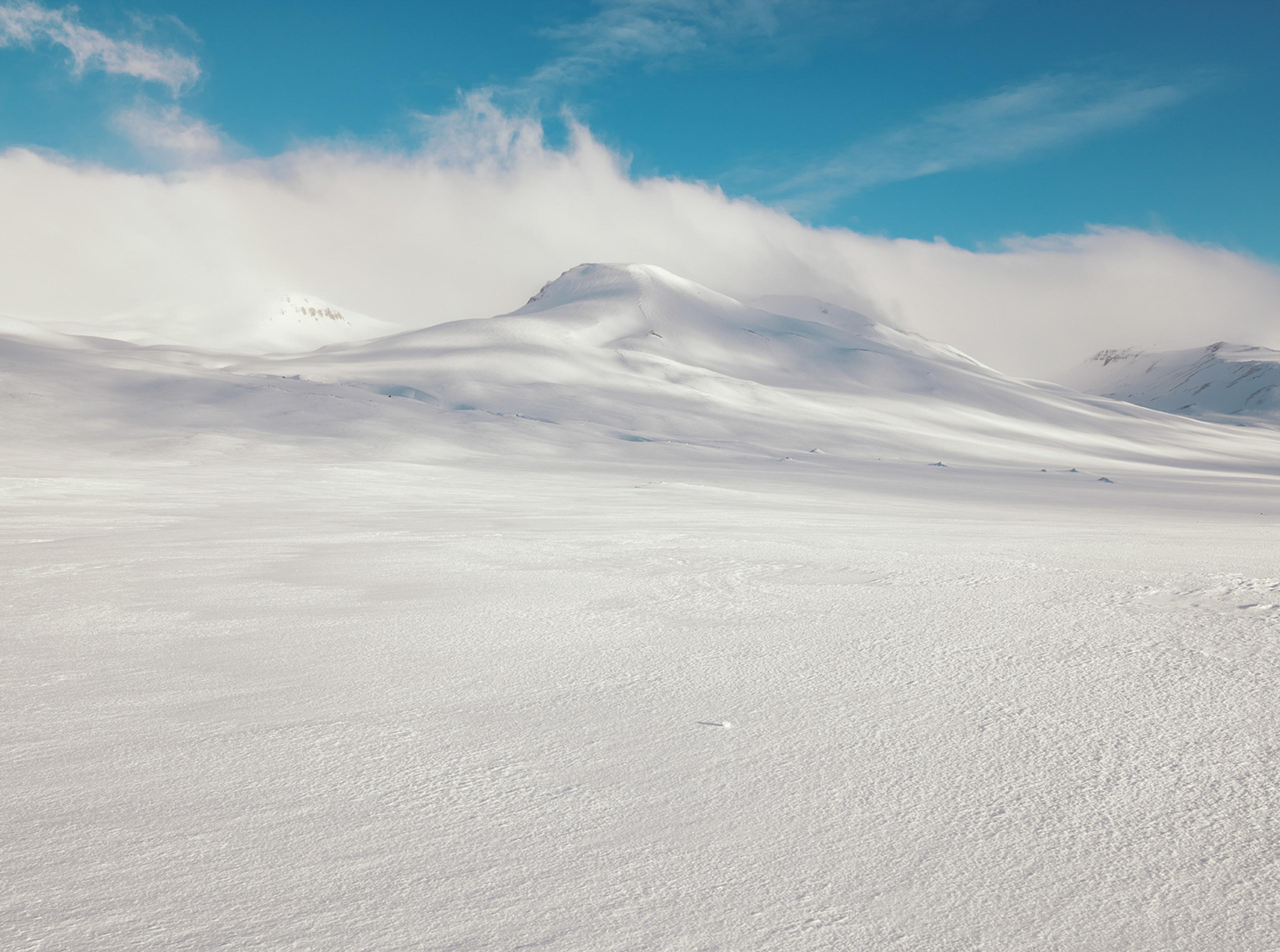 Image from Anoush Abrar