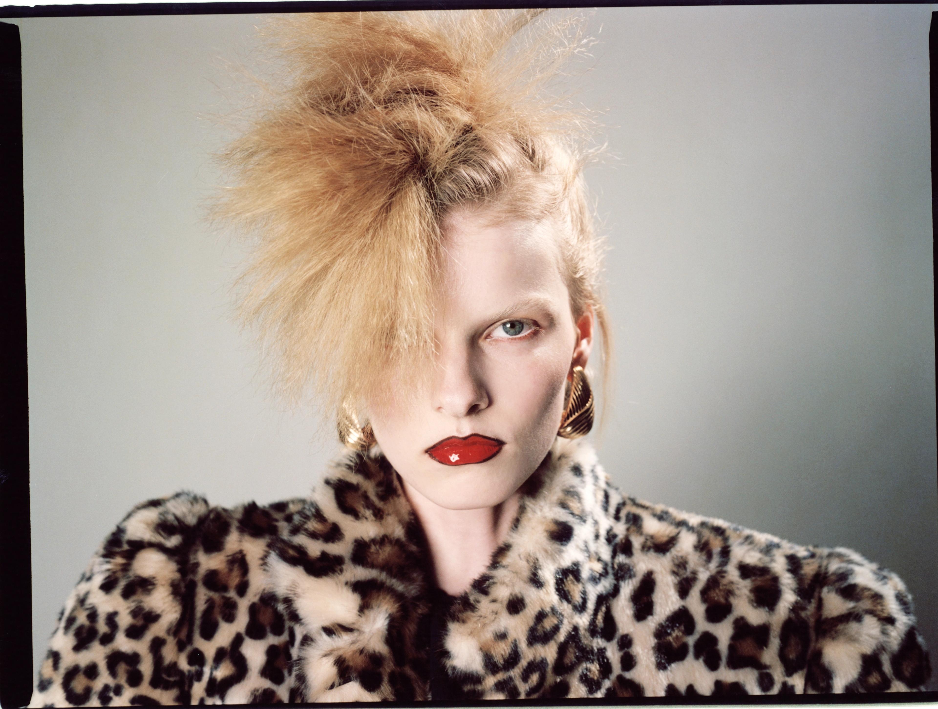 Image 3 of 3 from Antonio Dicorato