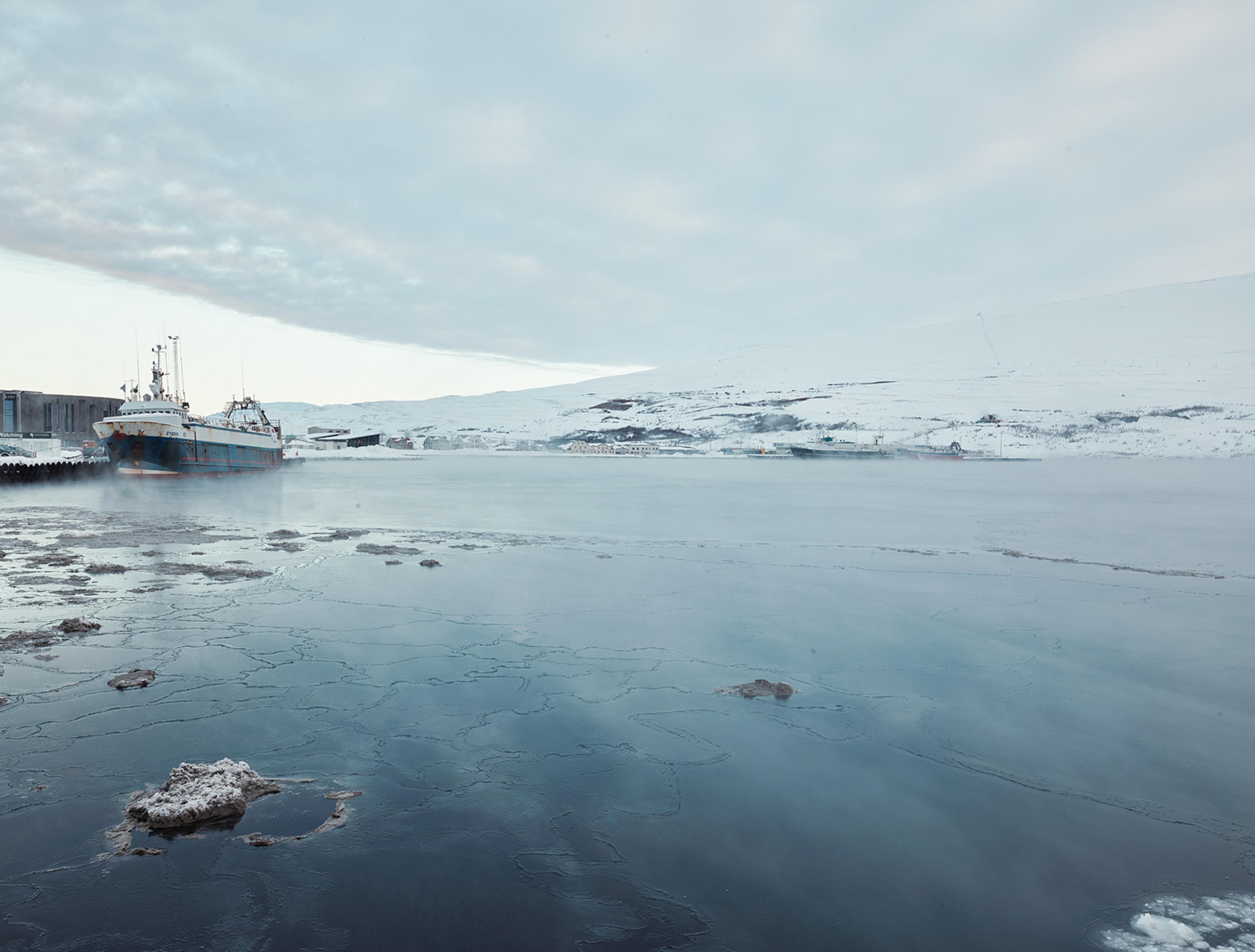 Image from Anoush Abrar