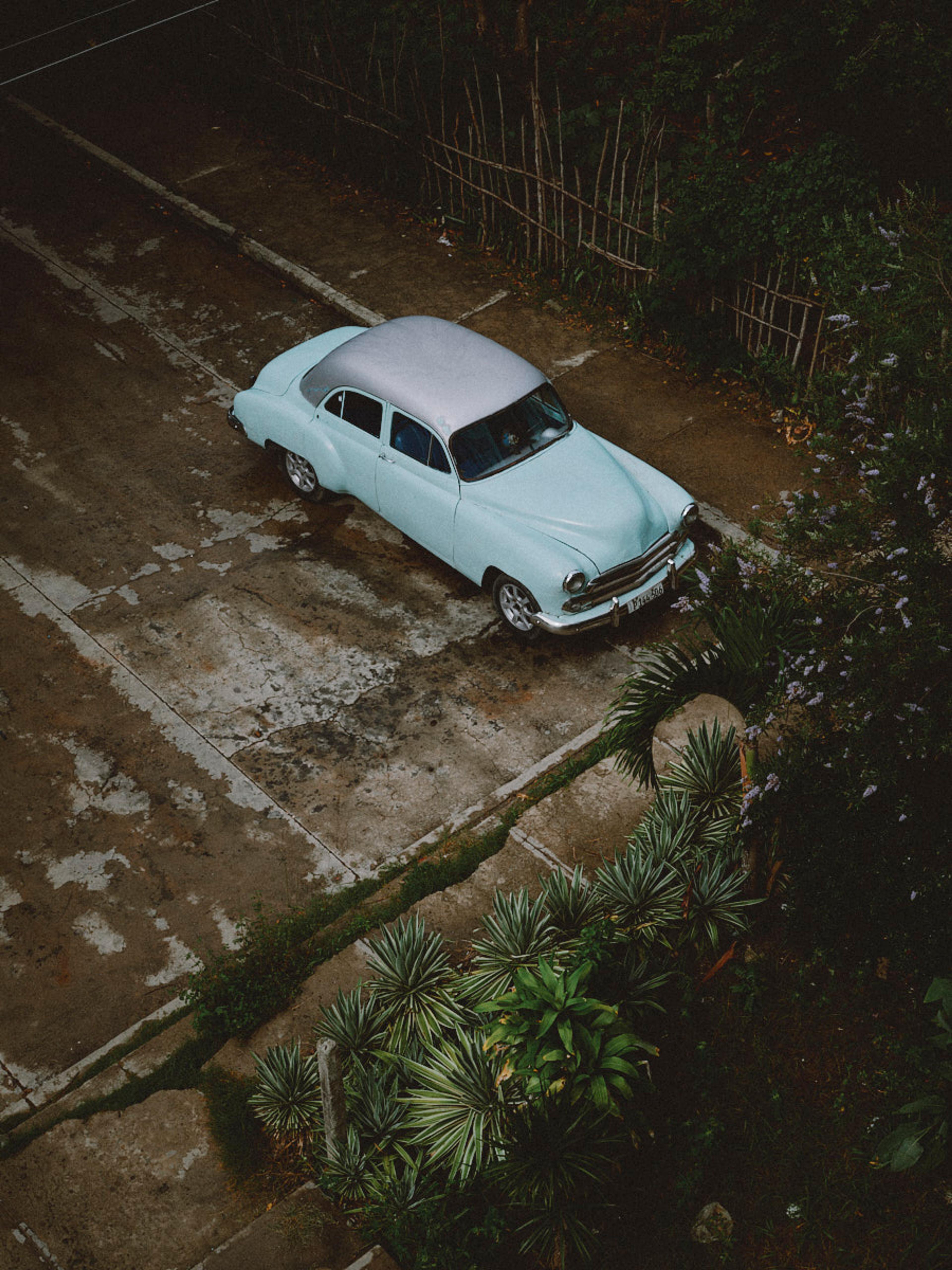 Image from Anoush Abrar