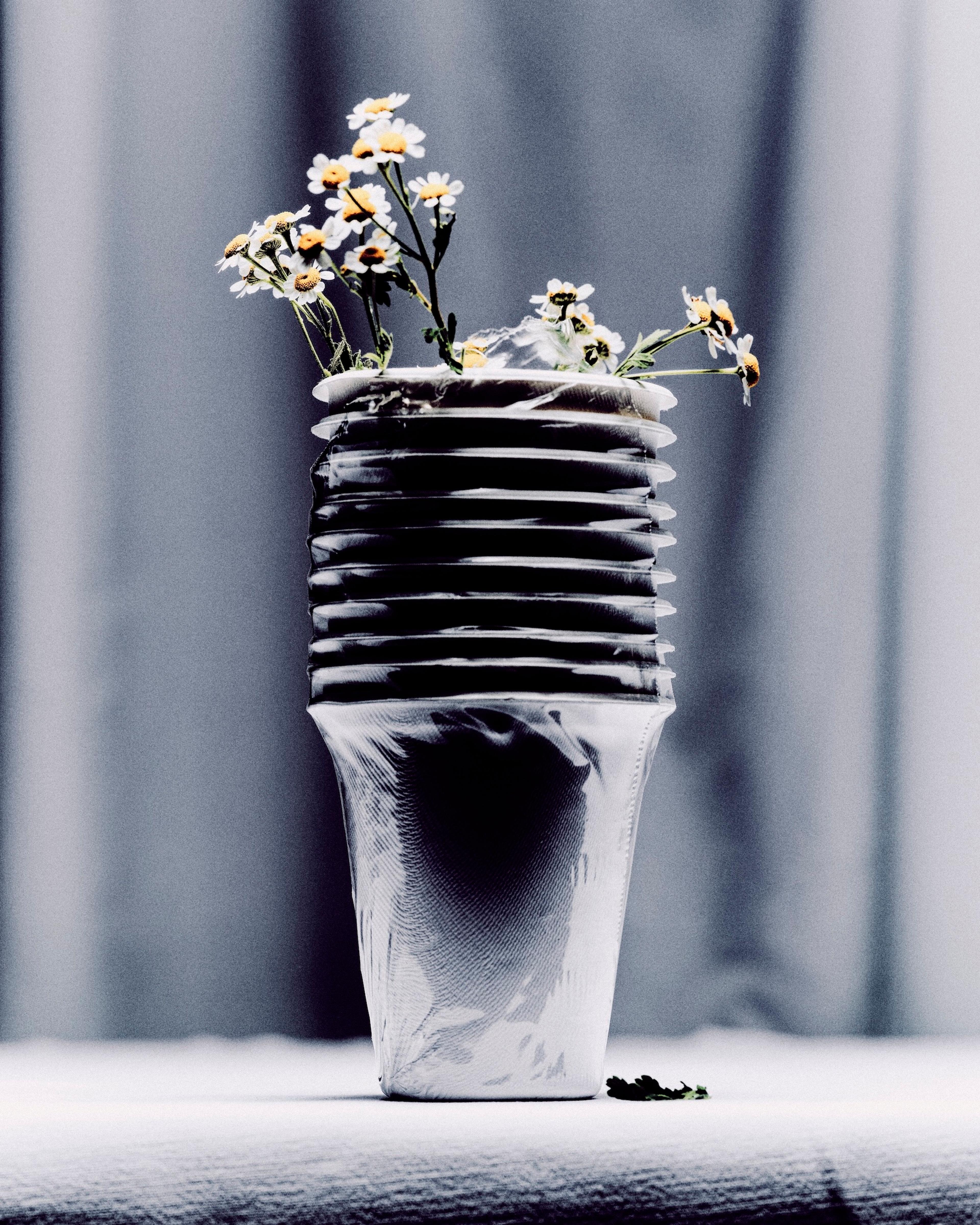 Image 2 of 3 from Benjamin Vigliotta