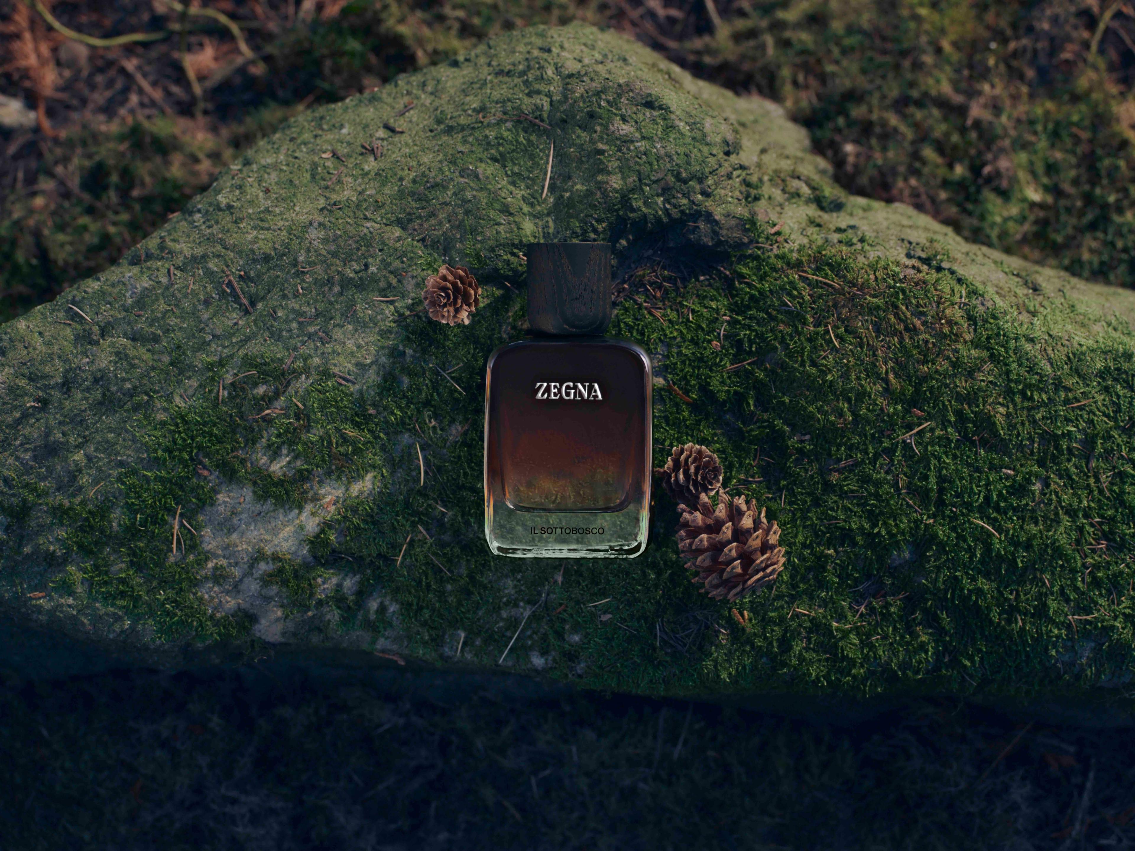 Image 2 of 3 from Mattia Parodi