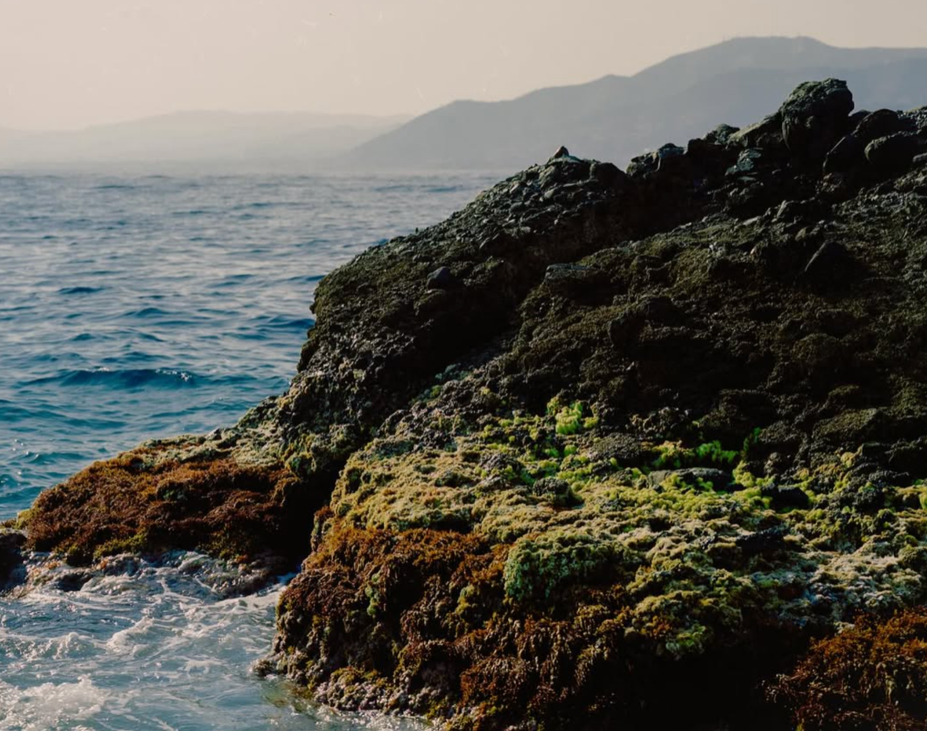 Image from Mattia Parodi