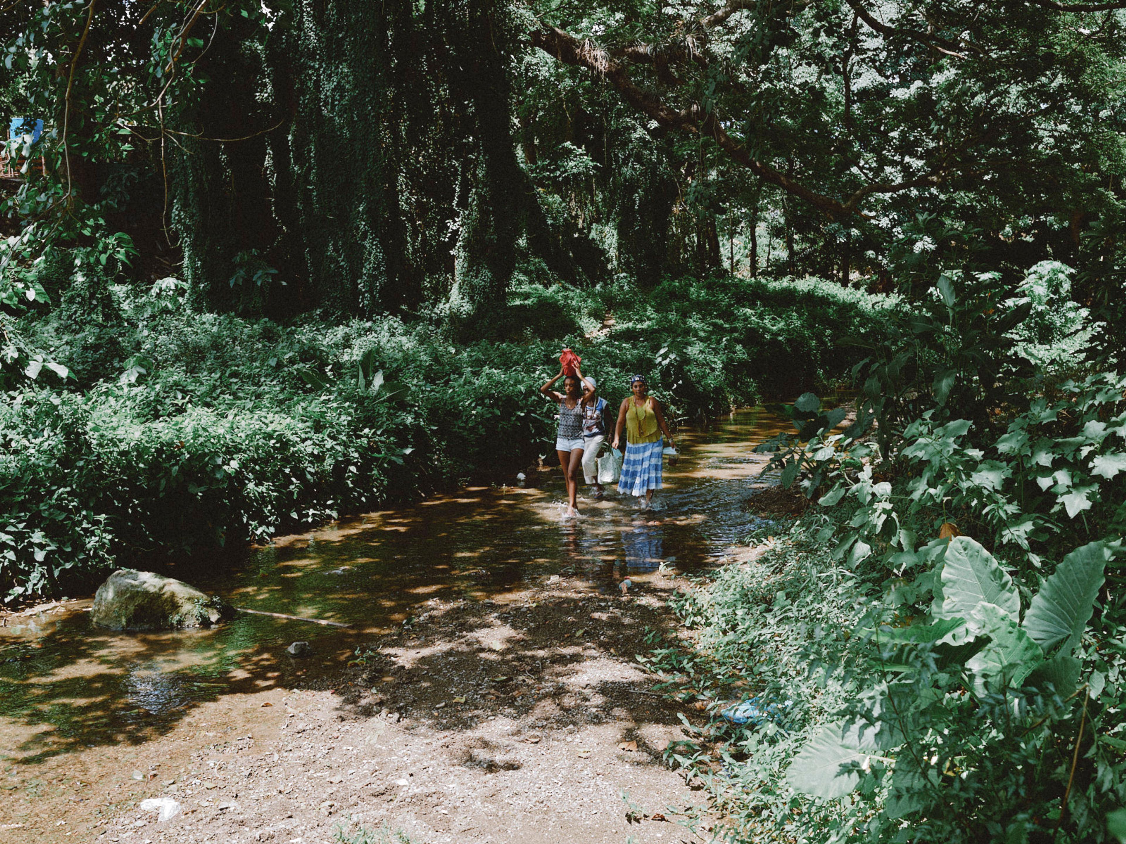 Image from Anoush Abrar