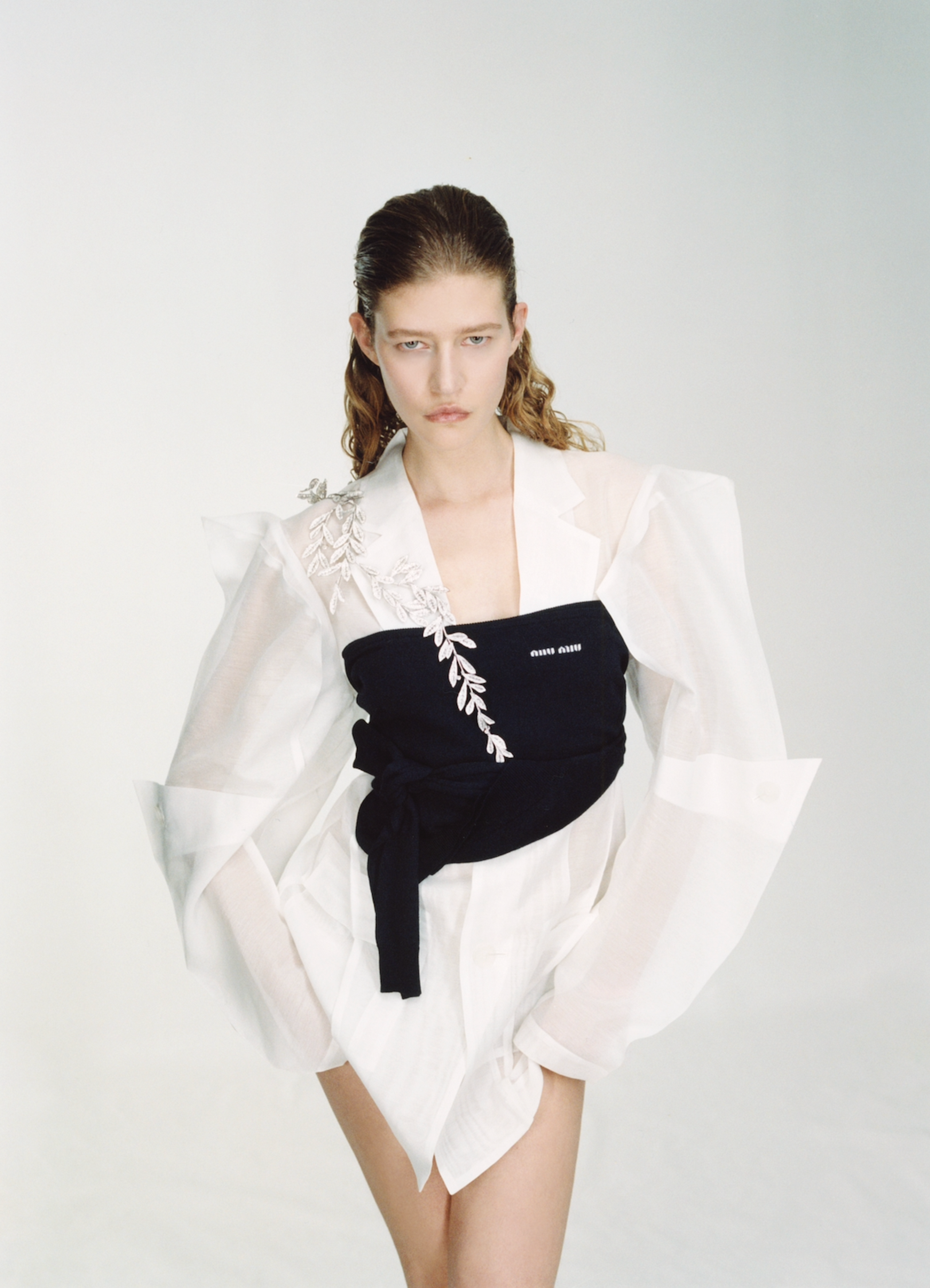 Image from Antonio Dicorato