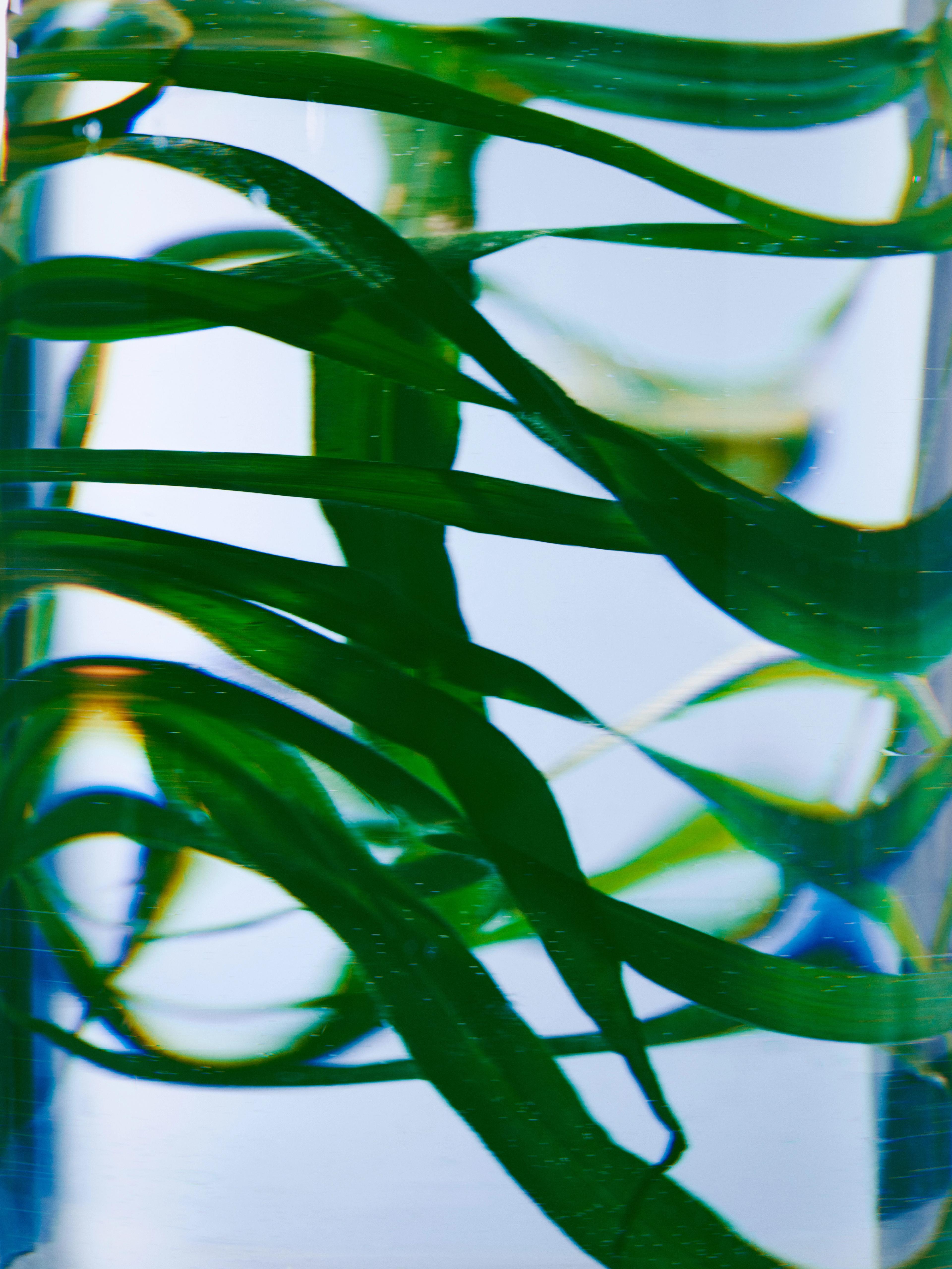 Image 3 of 3 from  