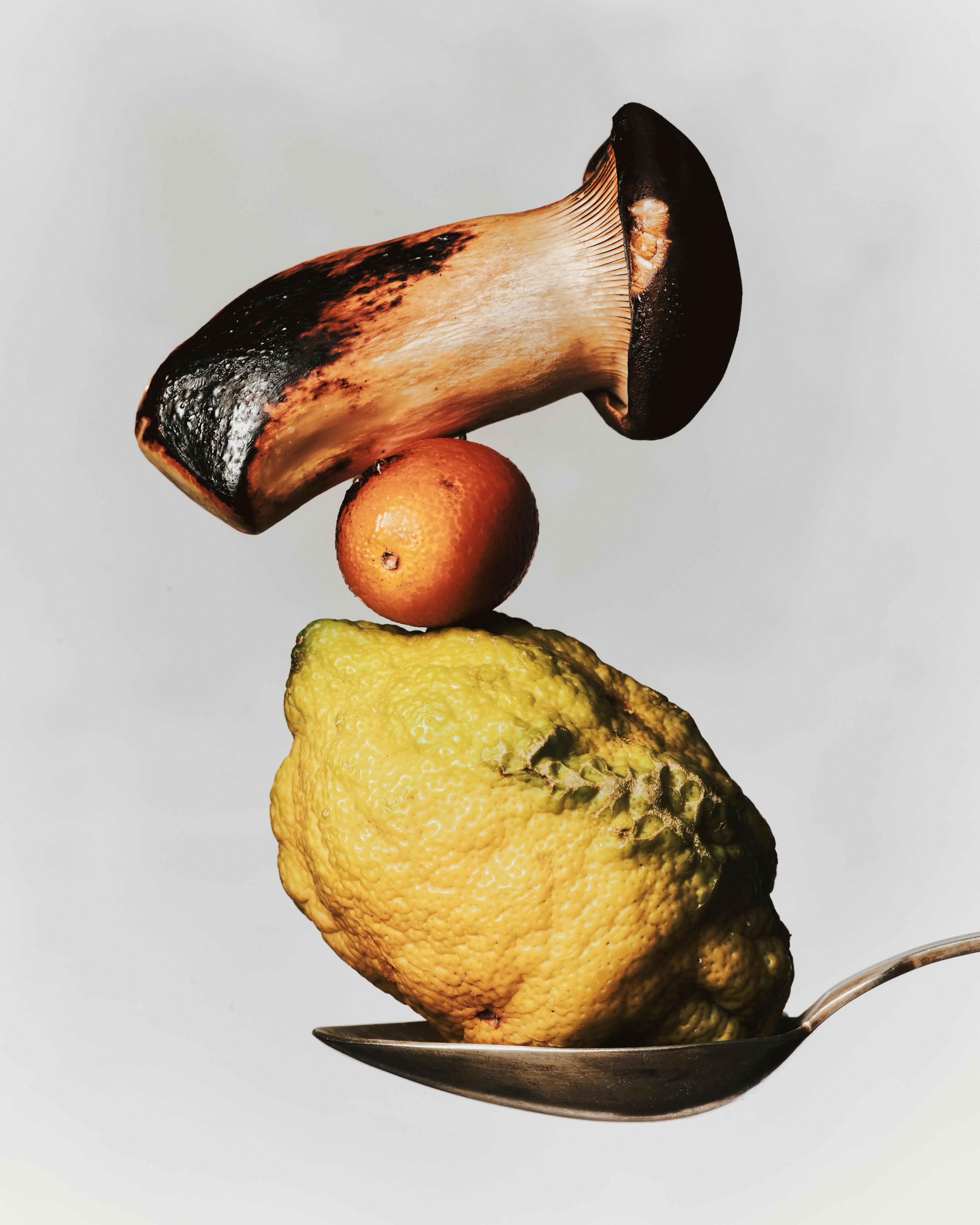 Image 2 of 3 from Benjamin Vigliotta